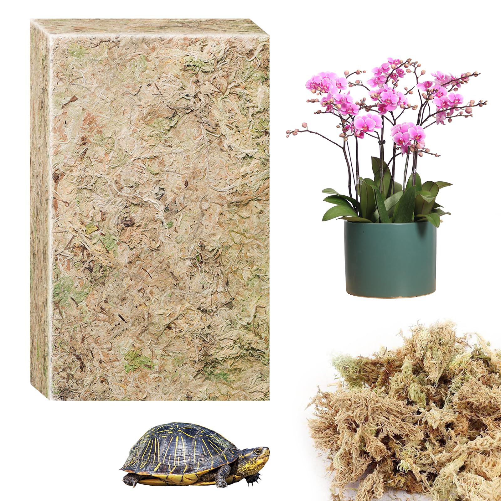 Connection Sfagno Muschio Secco Naturale 190g