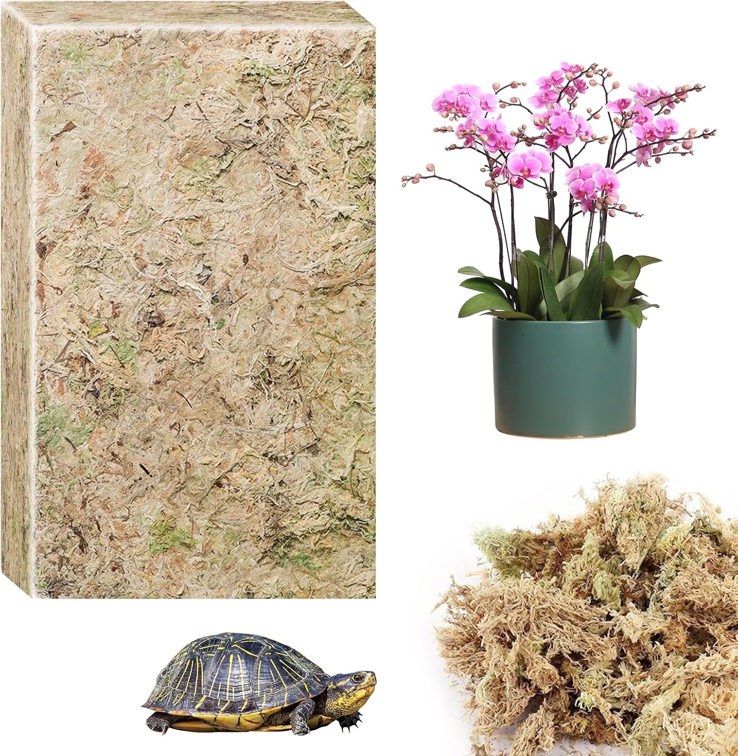 Connection Sfagno Muschio Secco Naturale 190g - immagine 1