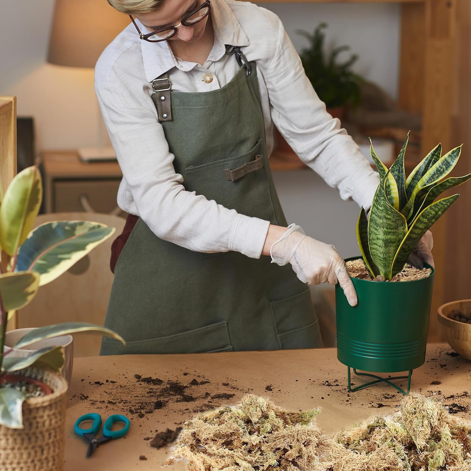 Connection Sfagno Muschio Secco Naturale 190g - immagine 2