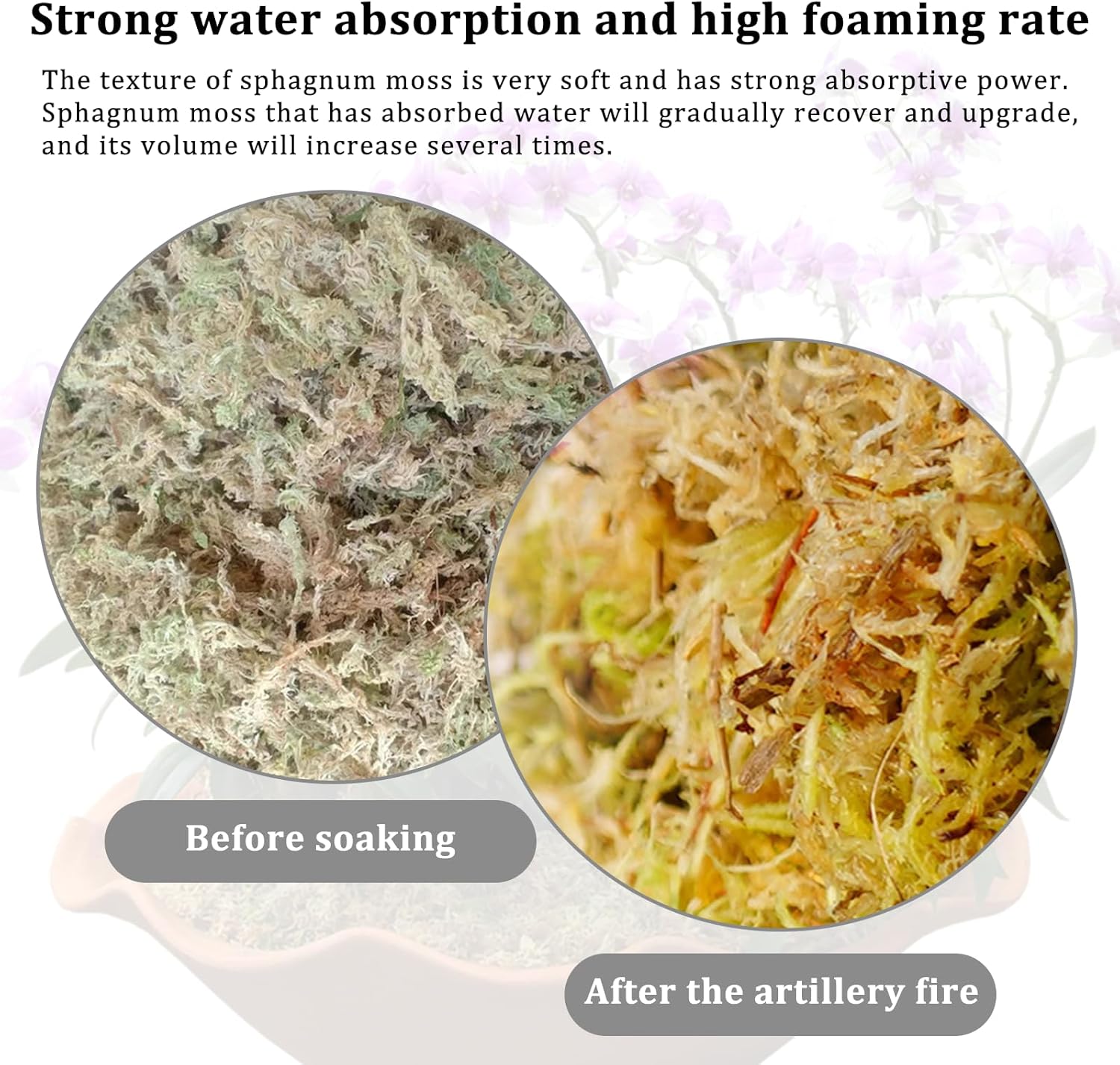 Connection Sfagno Muschio Secco Naturale 190g - immagine 3