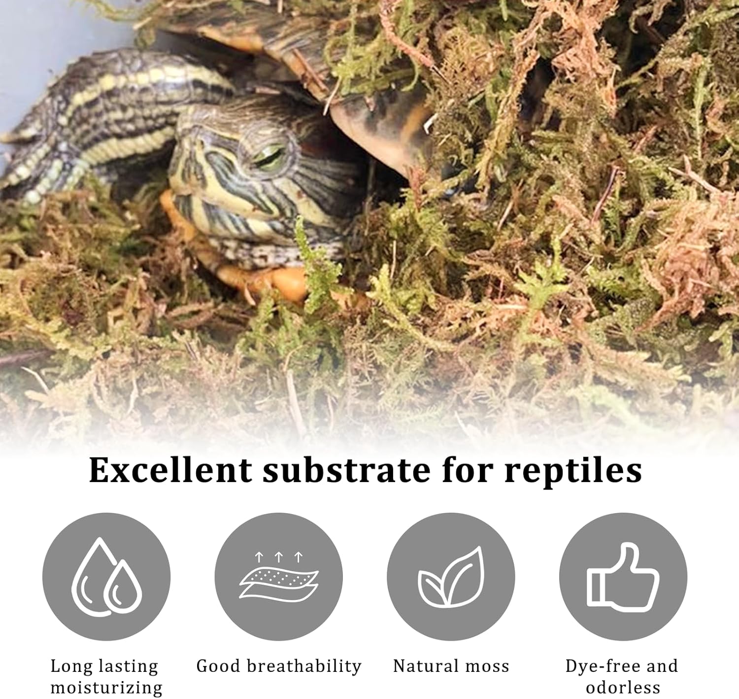 Connection Sfagno Muschio Secco Naturale 190g - immagine 4