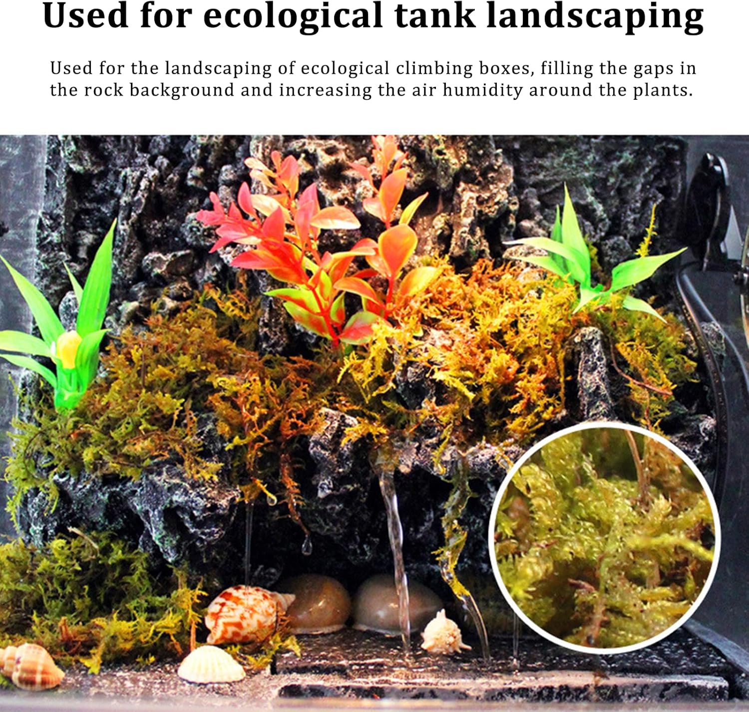 Connection Sfagno Muschio Secco Naturale 190g - immagine 5