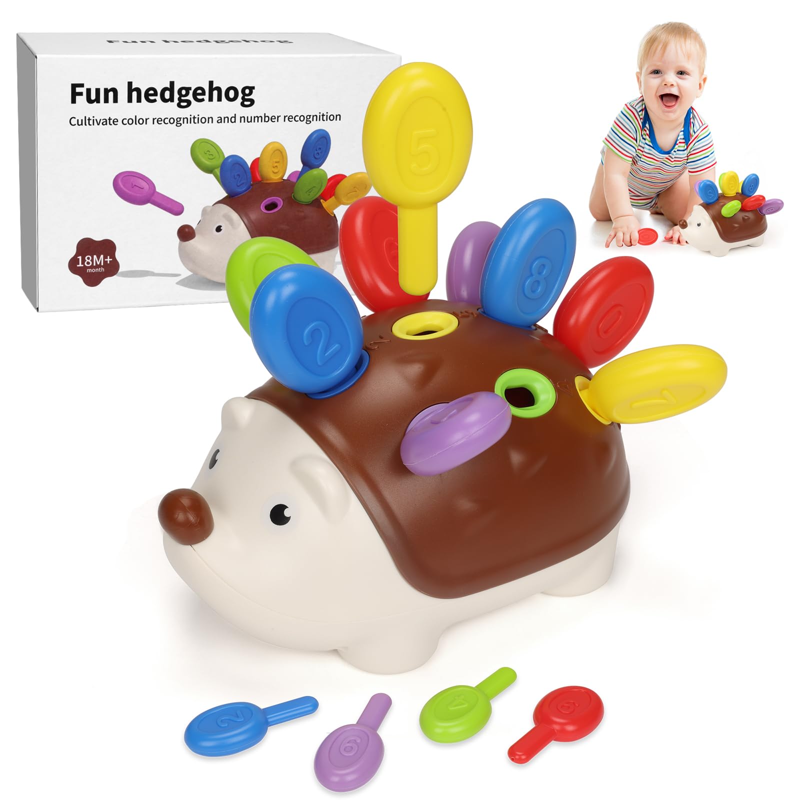 Giochi Montessori Riccio per Bambini 1 Anno