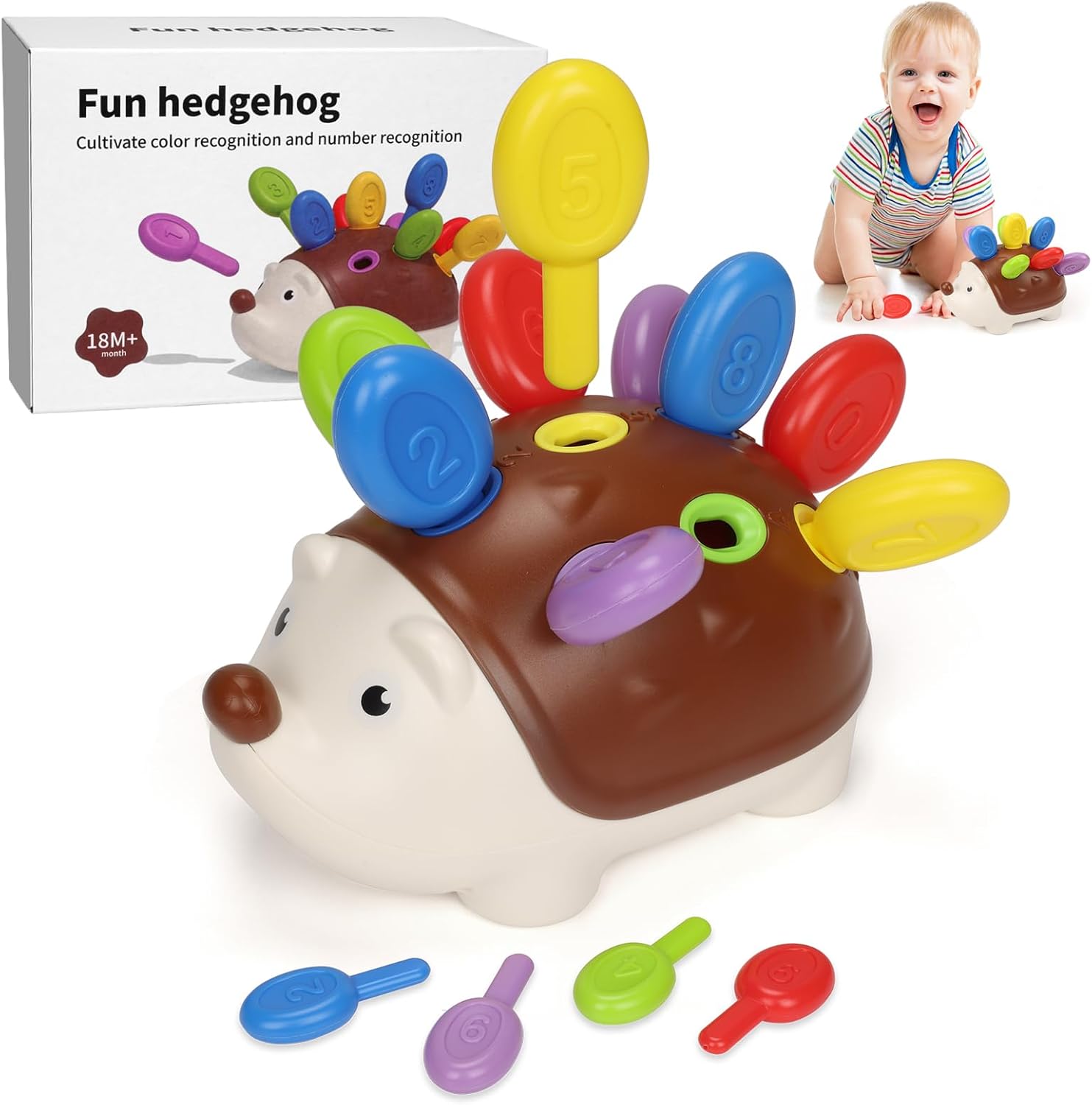 Giochi Montessori Riccio per Bambini 1 Anno - immagine 1