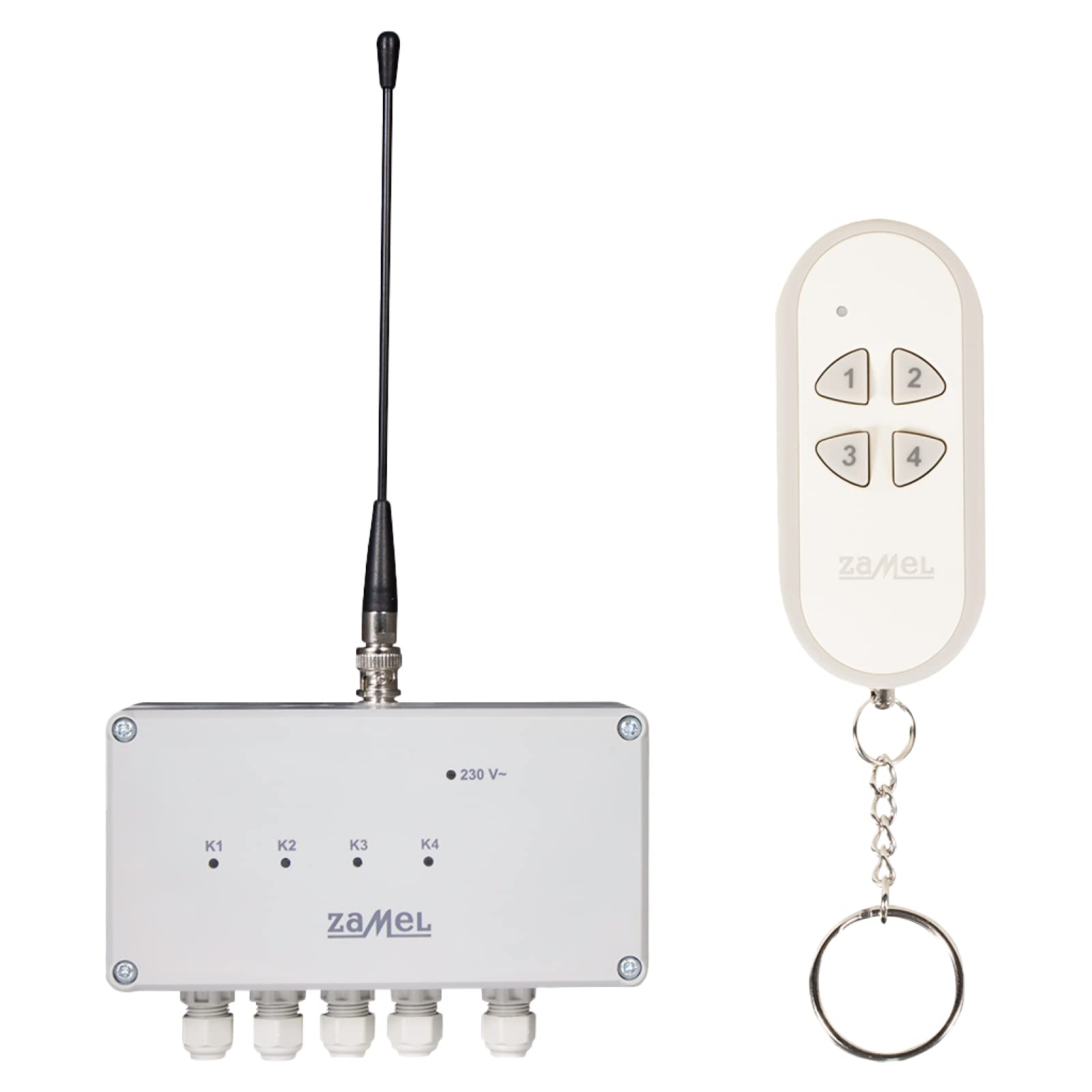 EXTA FREE RWS-311 C/Z Radio Ricevitore + Telecomando