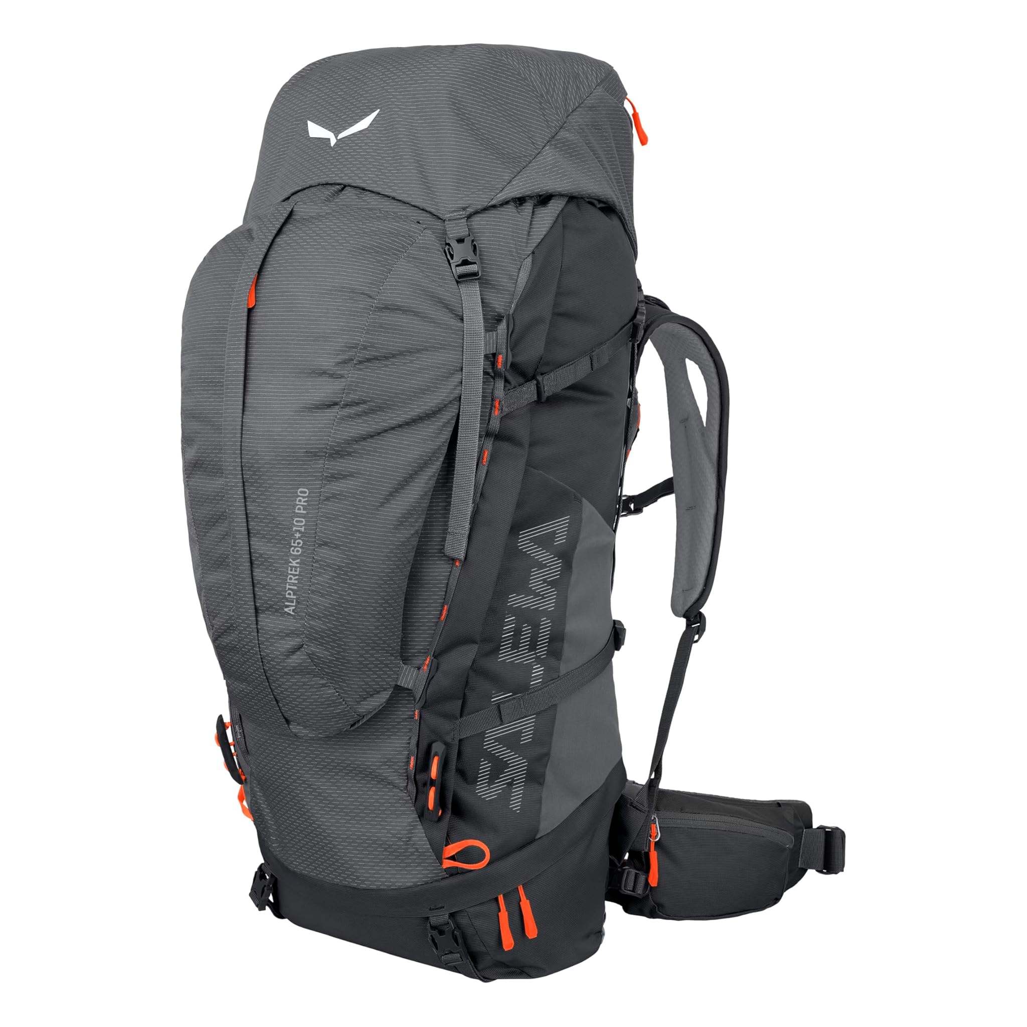 SALEWA ALPTREK 65 +10 PRO BP