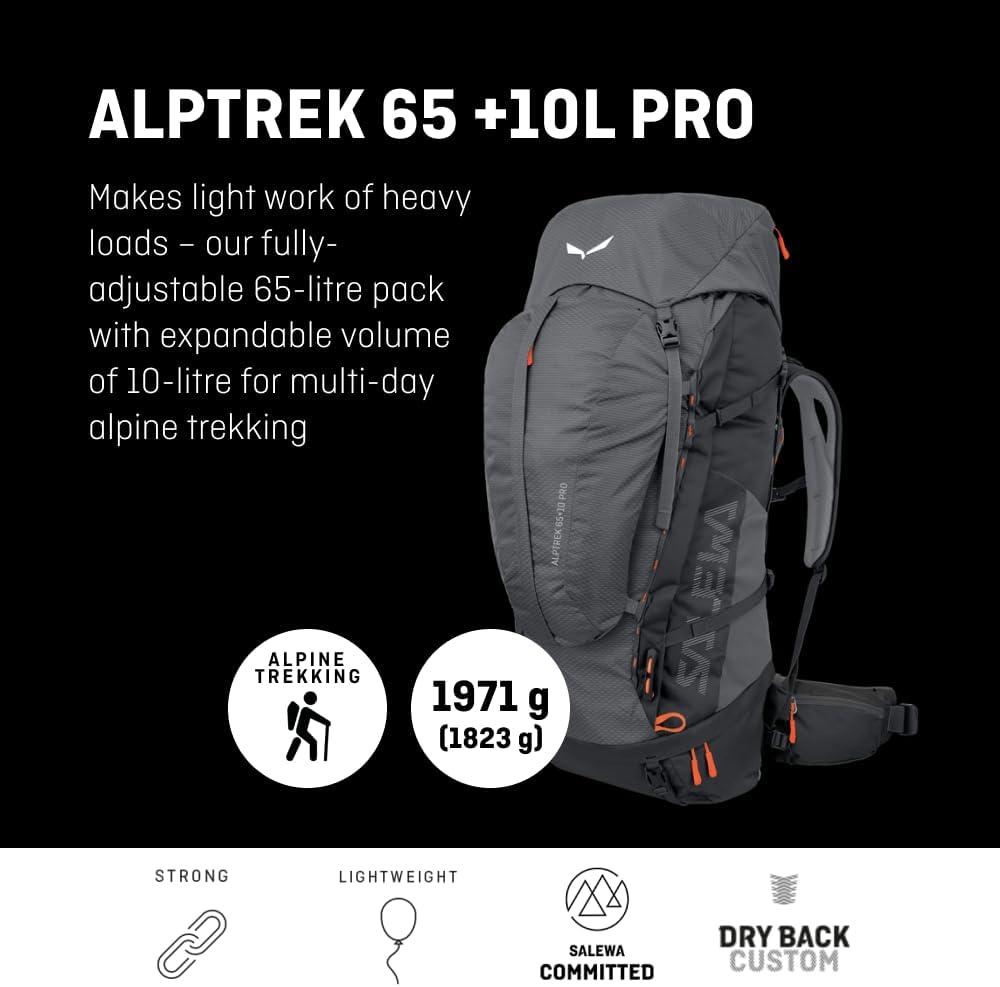 SALEWA ALPTREK 65 +10 PRO BP - immagine 2