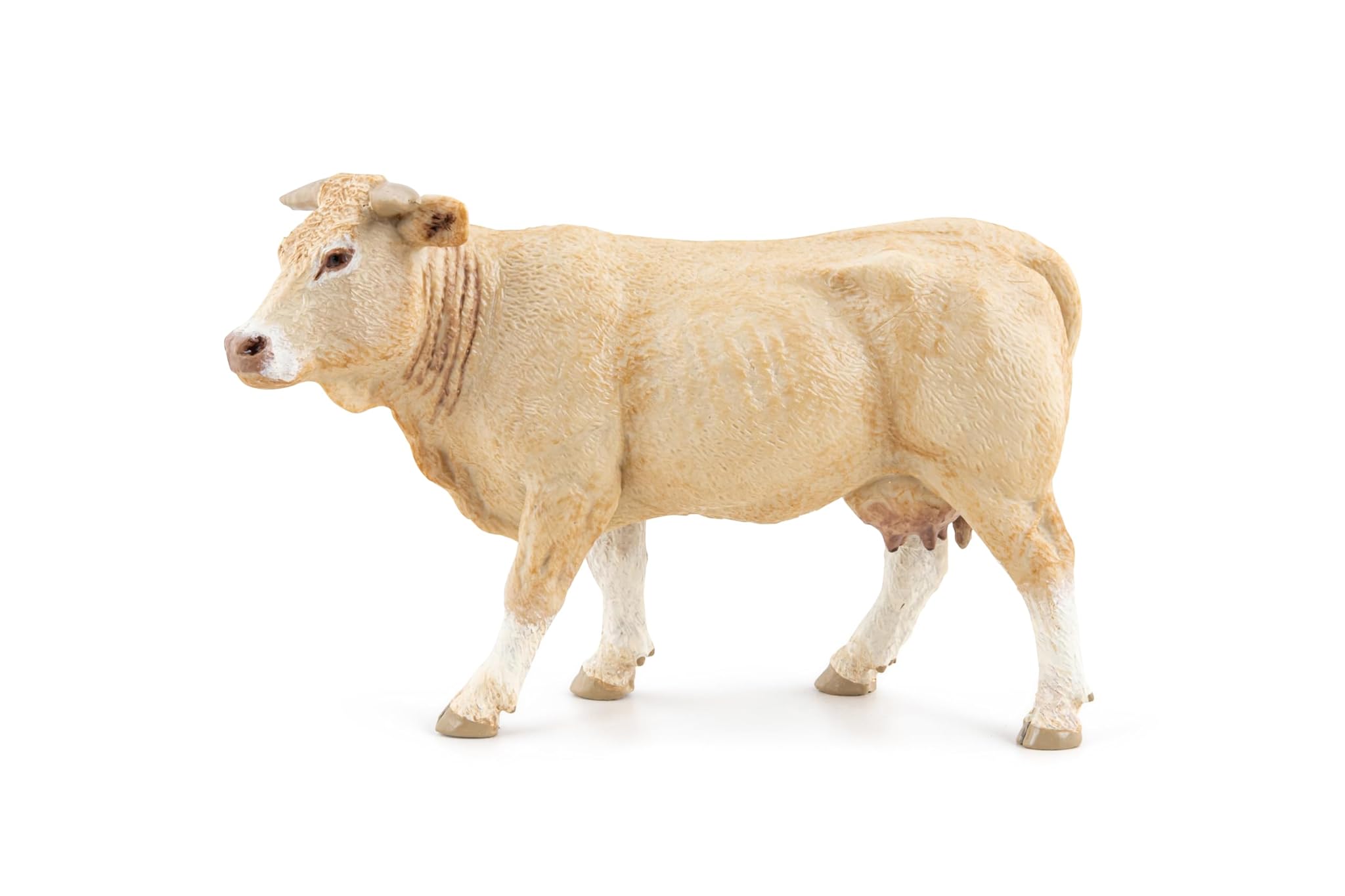 PAPO Blonde d'Aquitania
