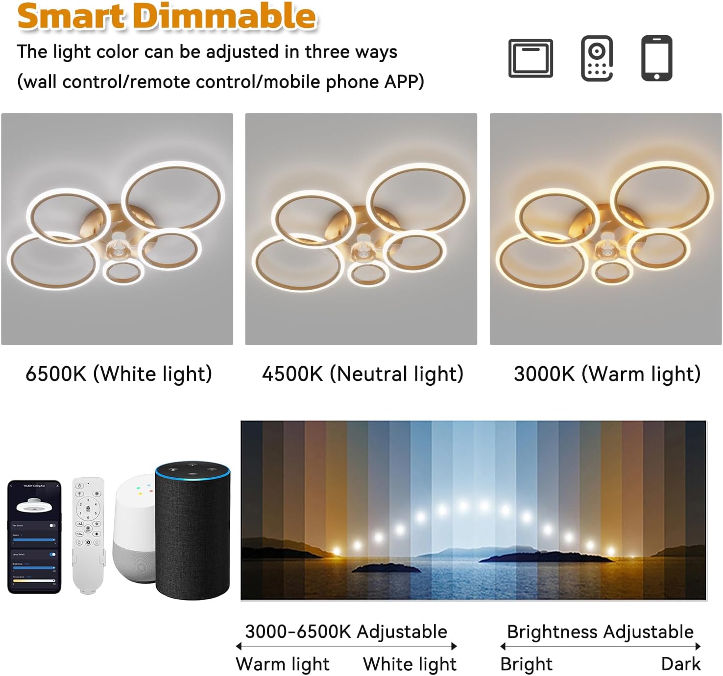 Ycwdcz Plafoniera Ventilatore Soffitto Smart - immagine 4