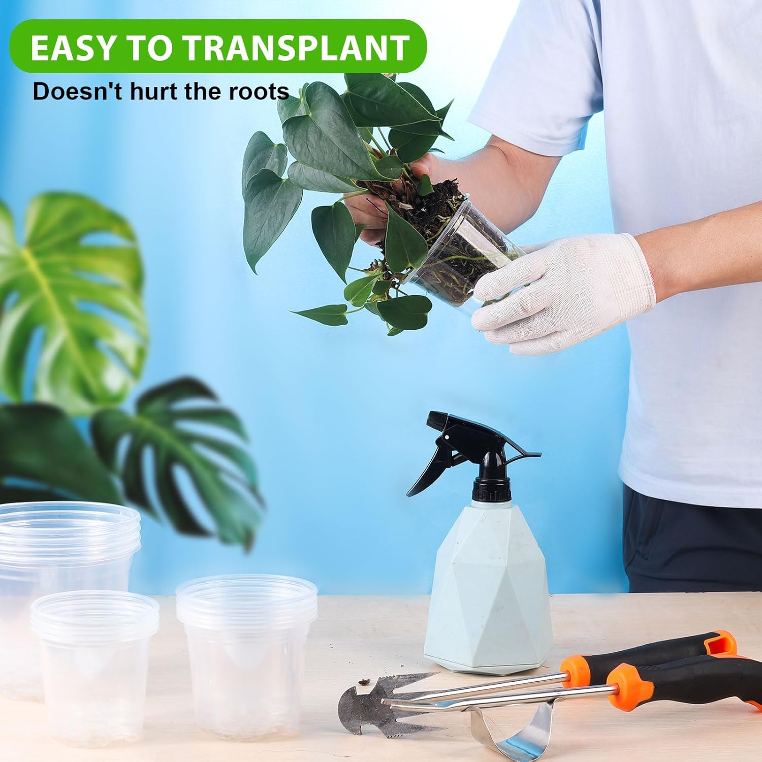 15 Vasi per Piante in Plastica Trasparente - immagine 5