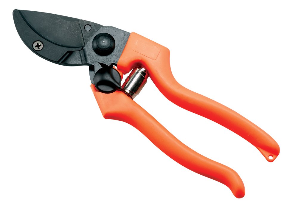 Ausonia - Forbice vigna professionale Patin 5 cm 21