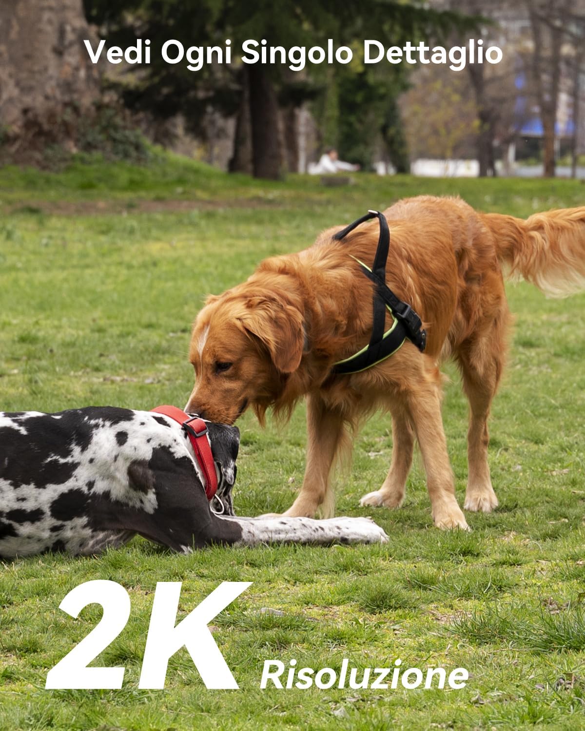 Imou Telecamera Esterna 2K PTZ WiFi con Pannello Solare - immagine 2