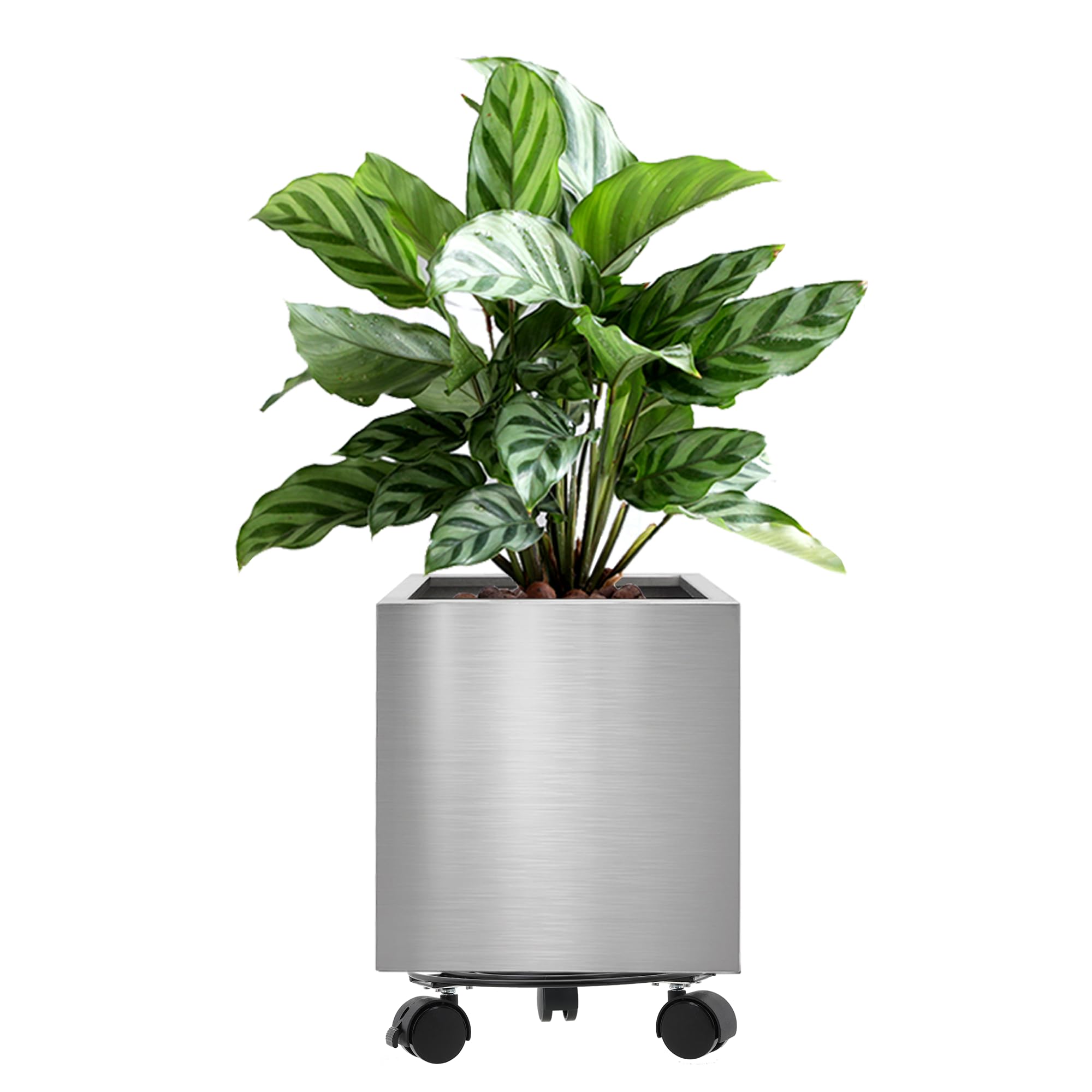 LONGRUN Vaso da Fiori Quadrato in Acciaio Inox 30cm
