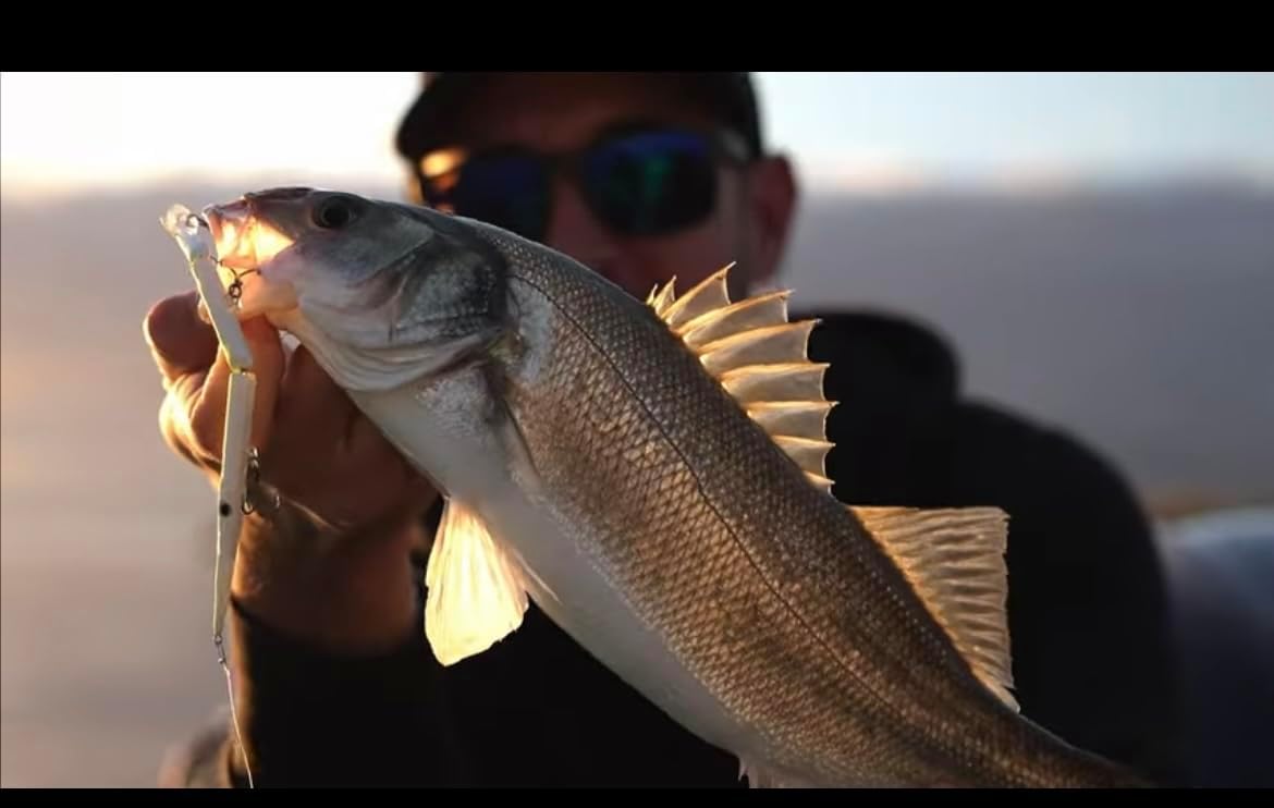 Stylo Jointed 150 Jack Fin color Holo Pearl - immagine 3