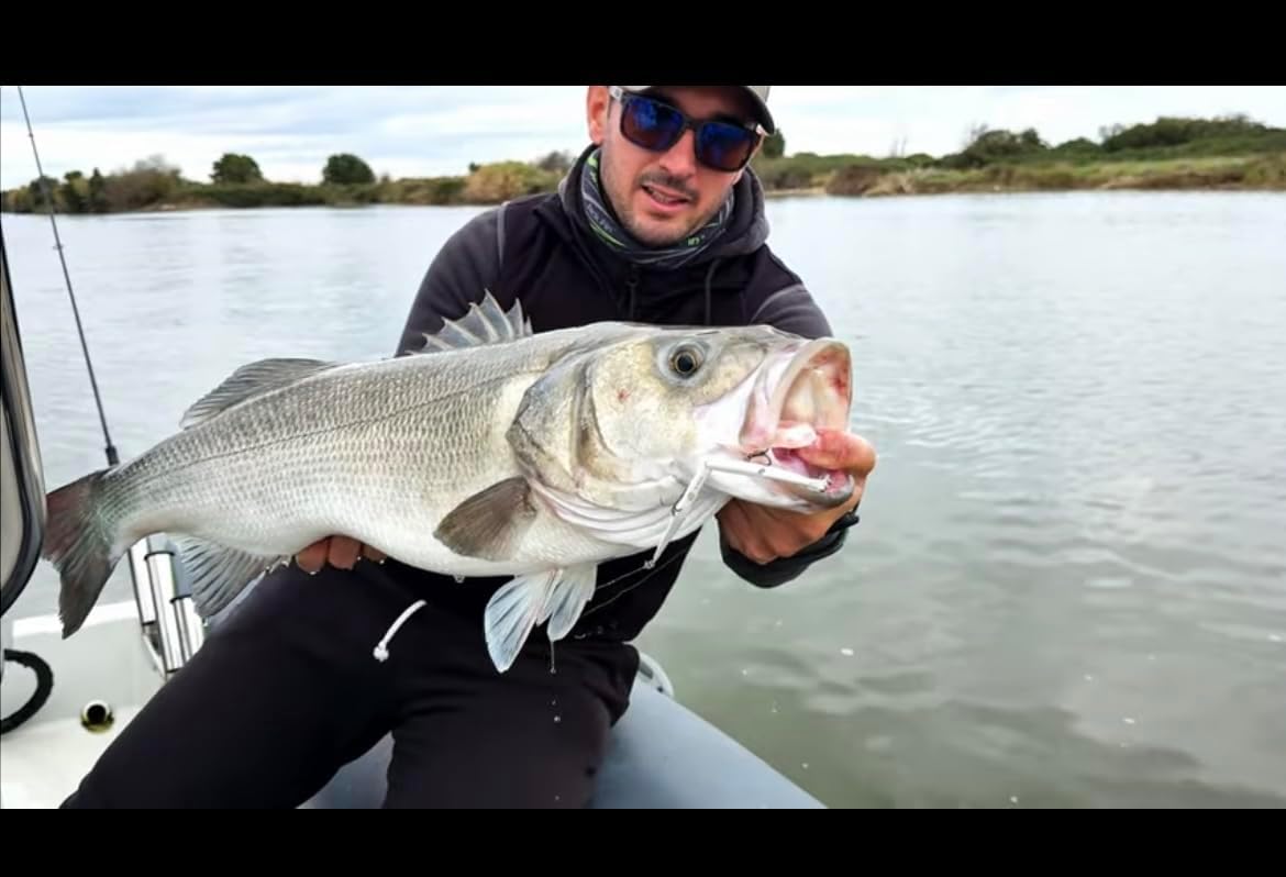 Stylo Jointed 150 Jack Fin color Holo Pearl - immagine 4