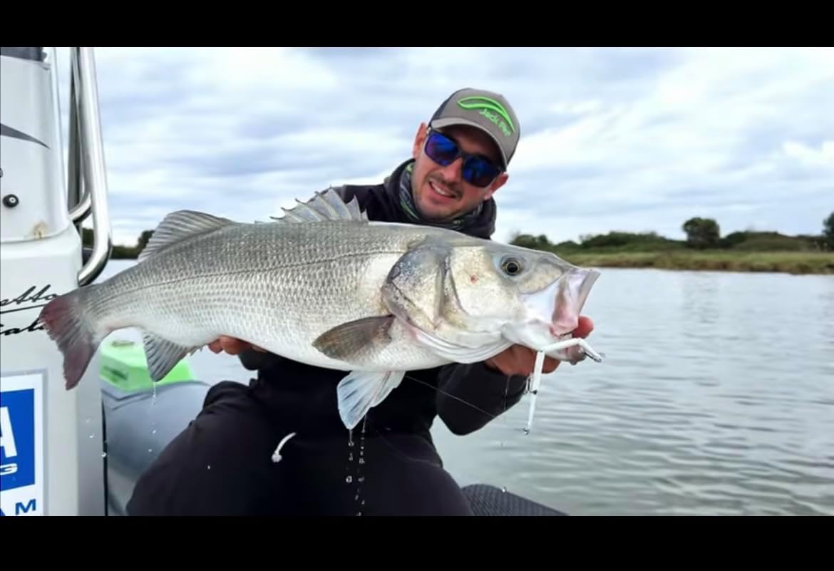 Stylo Jointed 150 Jack Fin color Holo Pearl - immagine 5