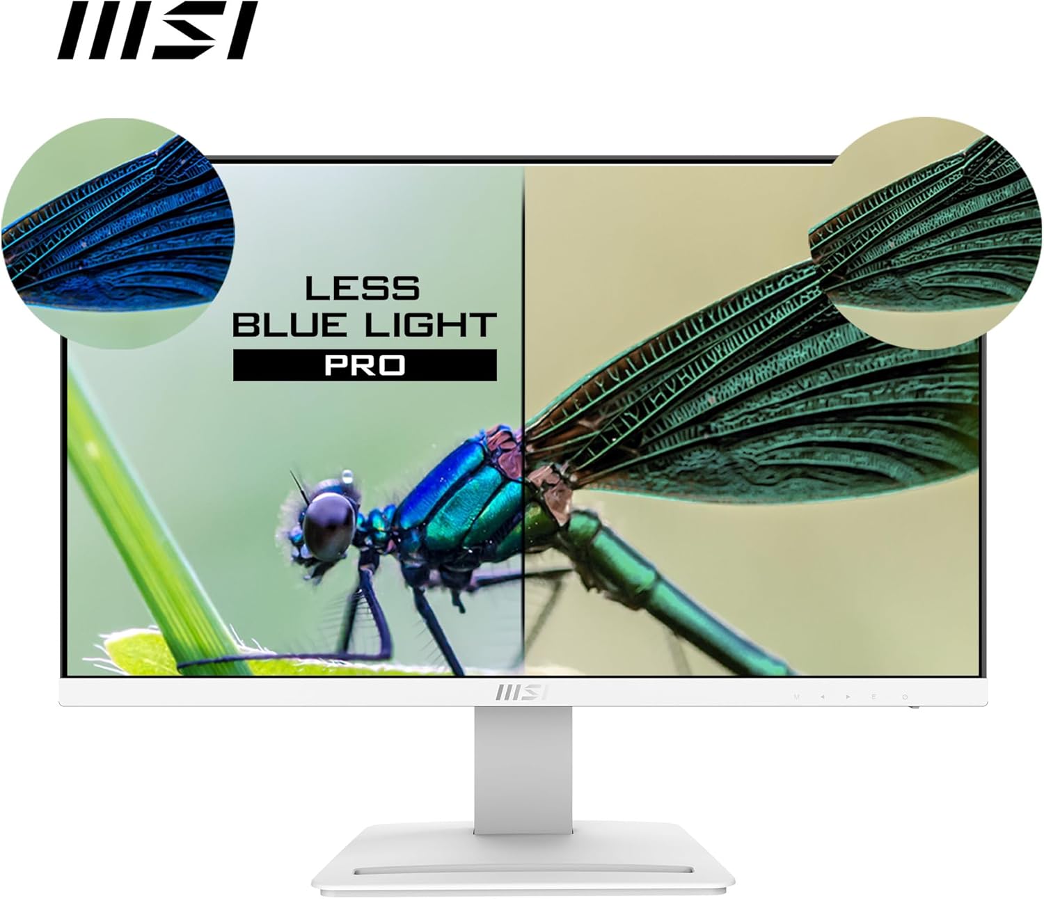 Msi PRO MP243XW Monitor 23.8" Full HD IPS 100 Hz - immagine 4