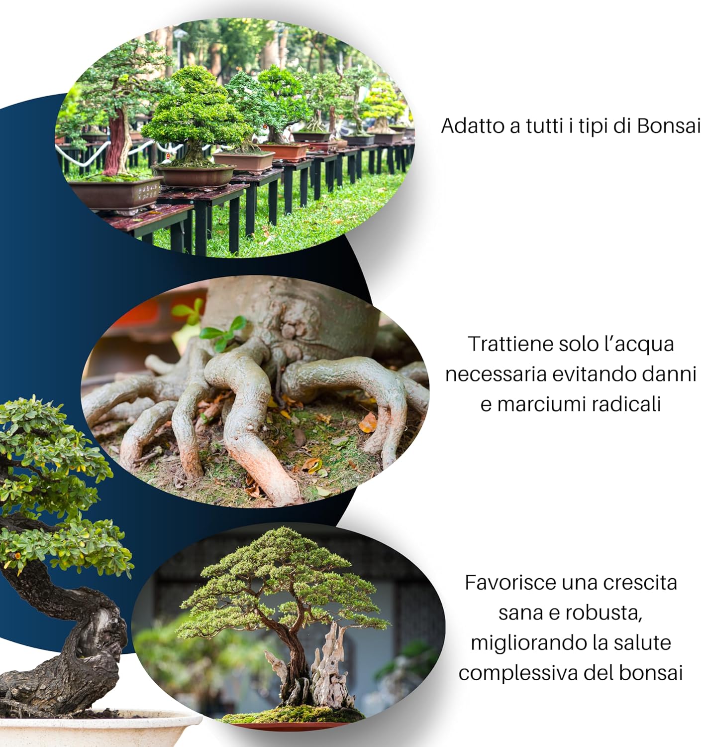 GebEarth® - Terriccio Specifico per Bonsai 3L - immagine 3