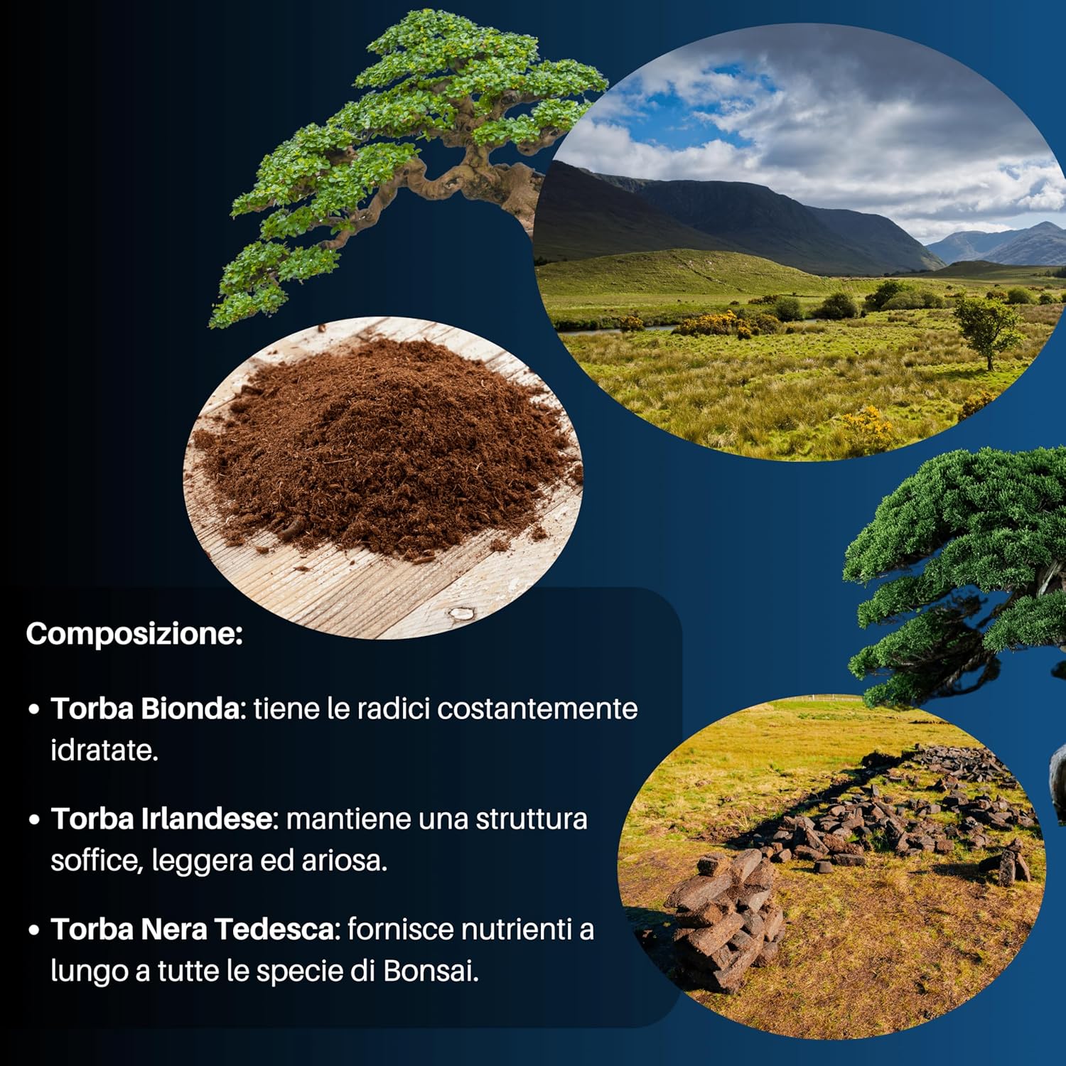 GebEarth® - Terriccio Specifico per Bonsai 3L - immagine 4