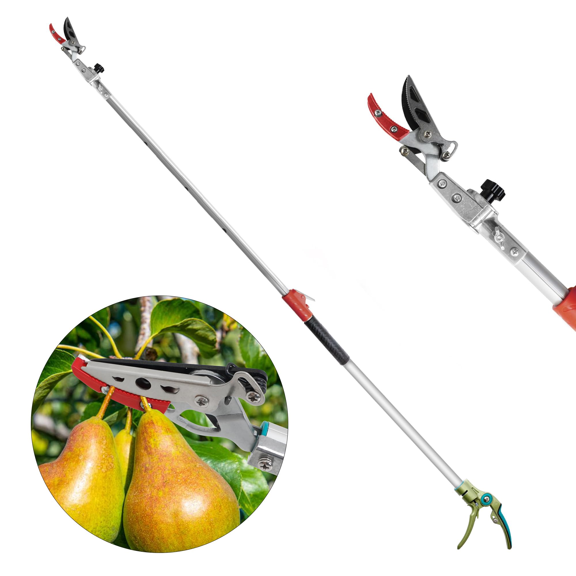 Flora Guard Forbici Telescopiche 1,6-2,5m