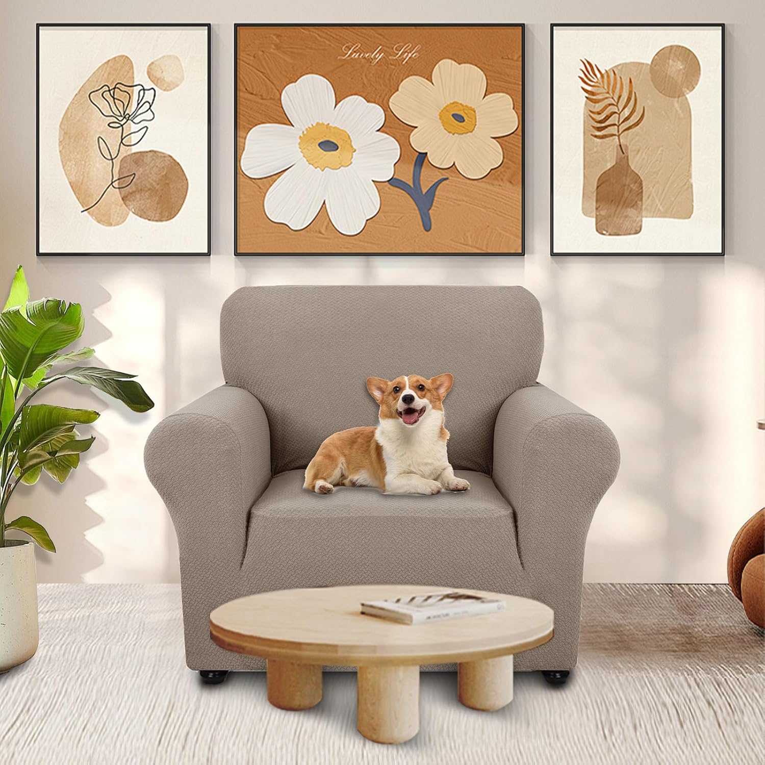 Ystyle Copridivano 1 Posto con Braccioli, Cachi - immagine 2