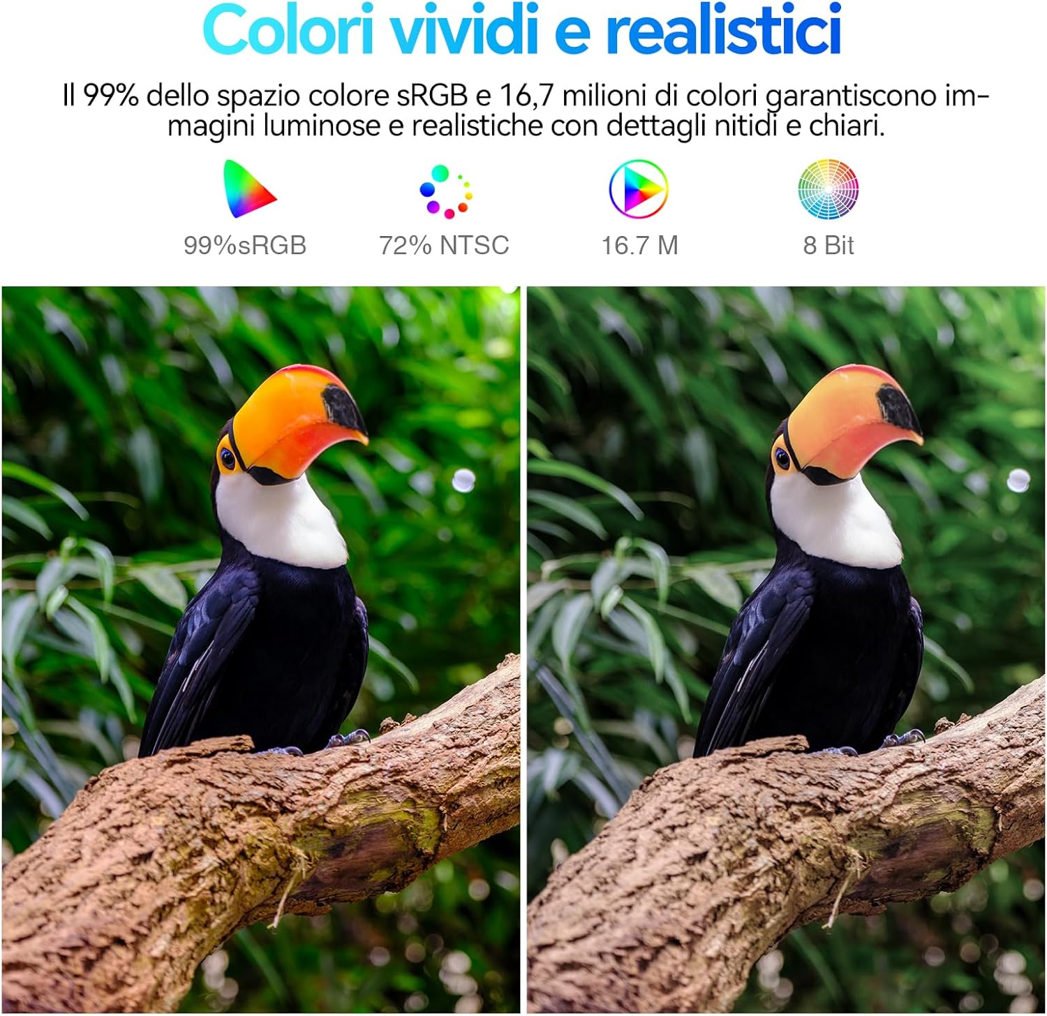 Koorui E2411K - Monitor PC 24 pollici Full HD IPS 144HZ - immagine 3