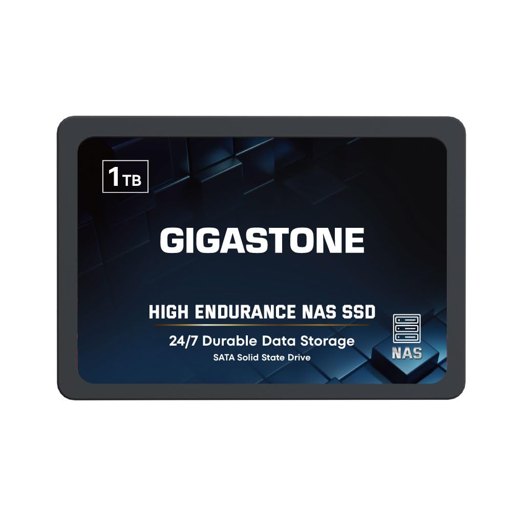 Gigastone SSD 1TB NAS 2.5 pollici SATA III