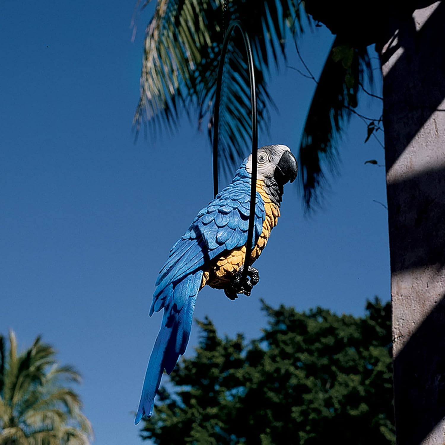 Design Toscano Polly il Pappagallo in Paradiso Statua - immagine 6