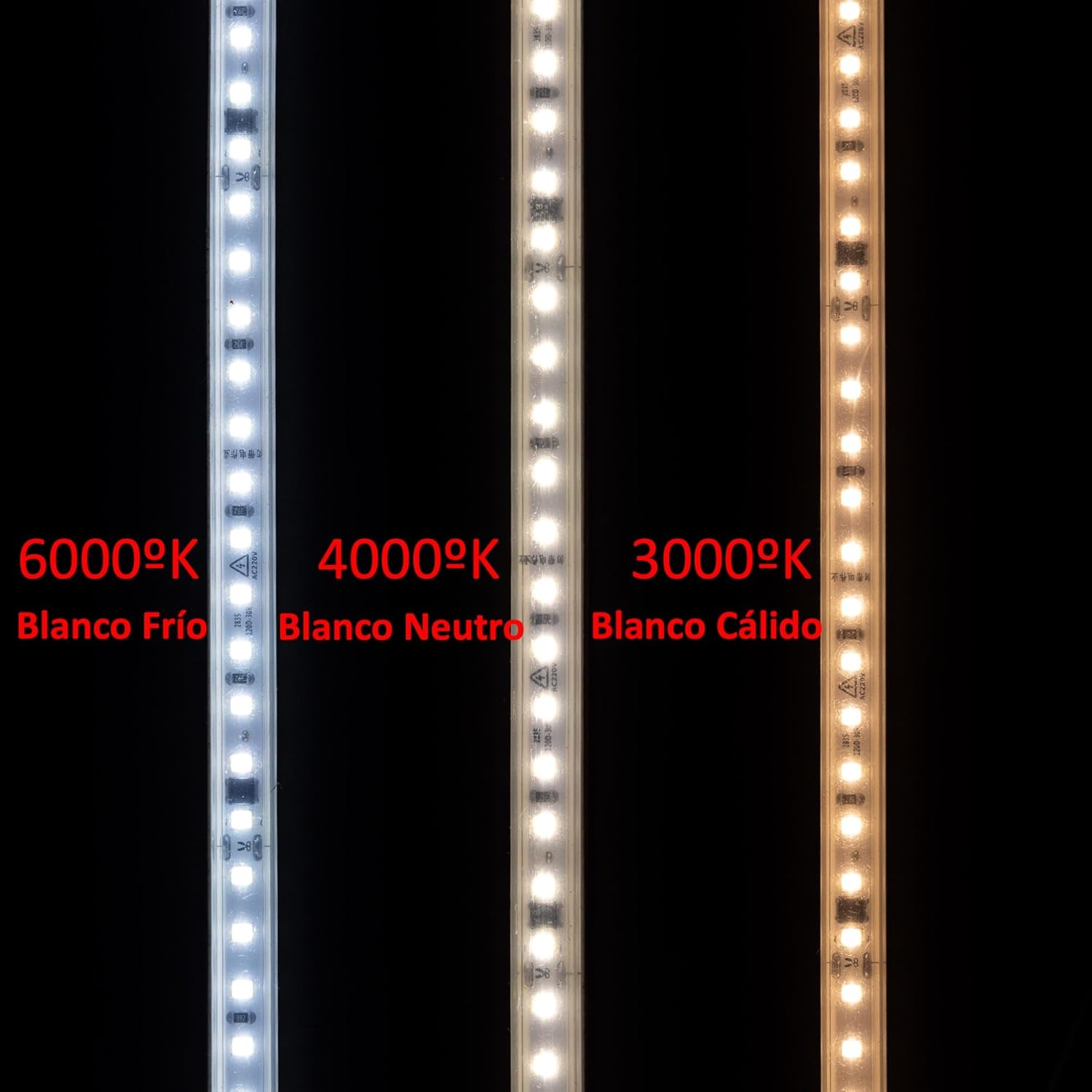 Playluz Striscia Led 220v 2835 120 Led/m (10M) - immagine 7