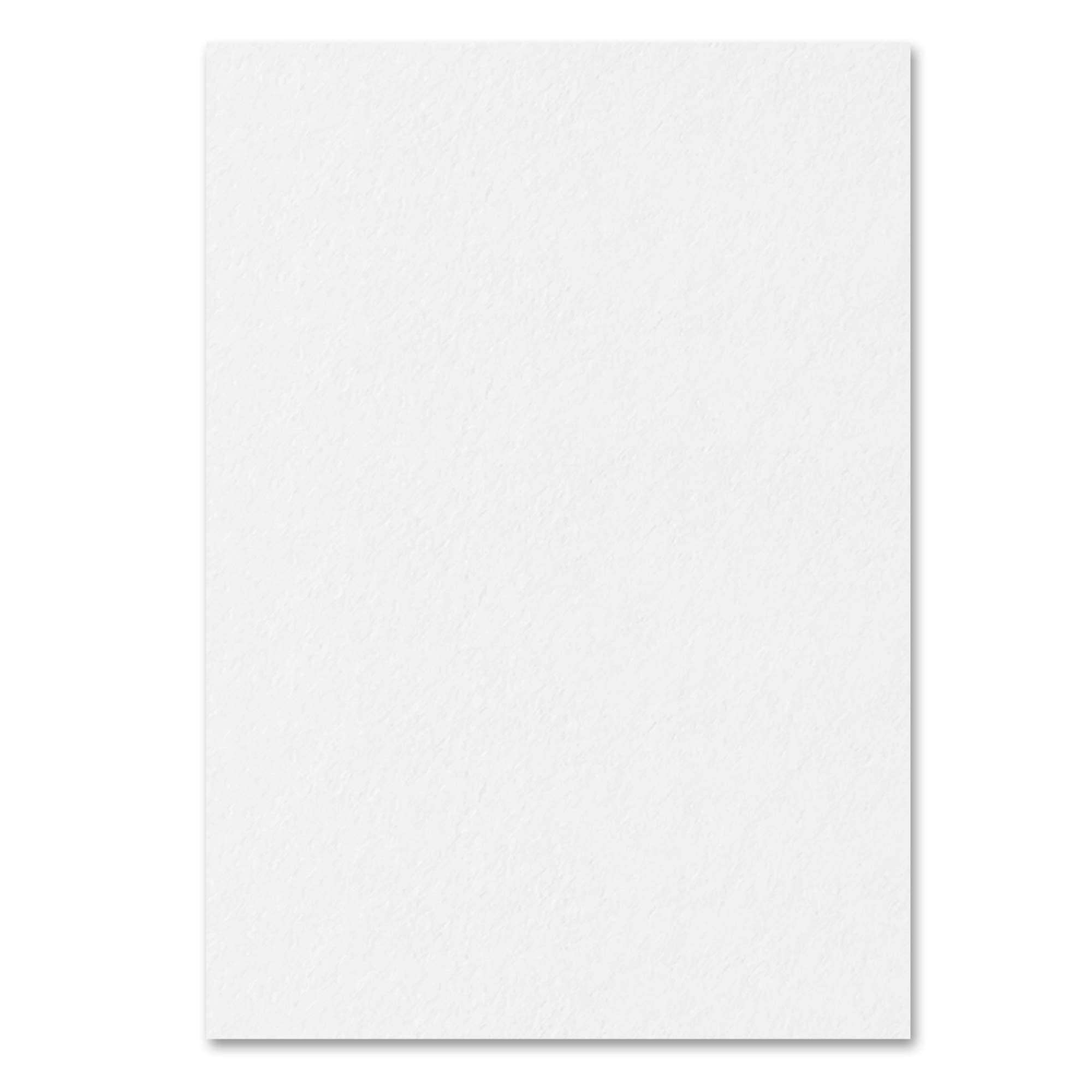 Carta Cartoncino A4 300g/m², 50 Fogli Bianco