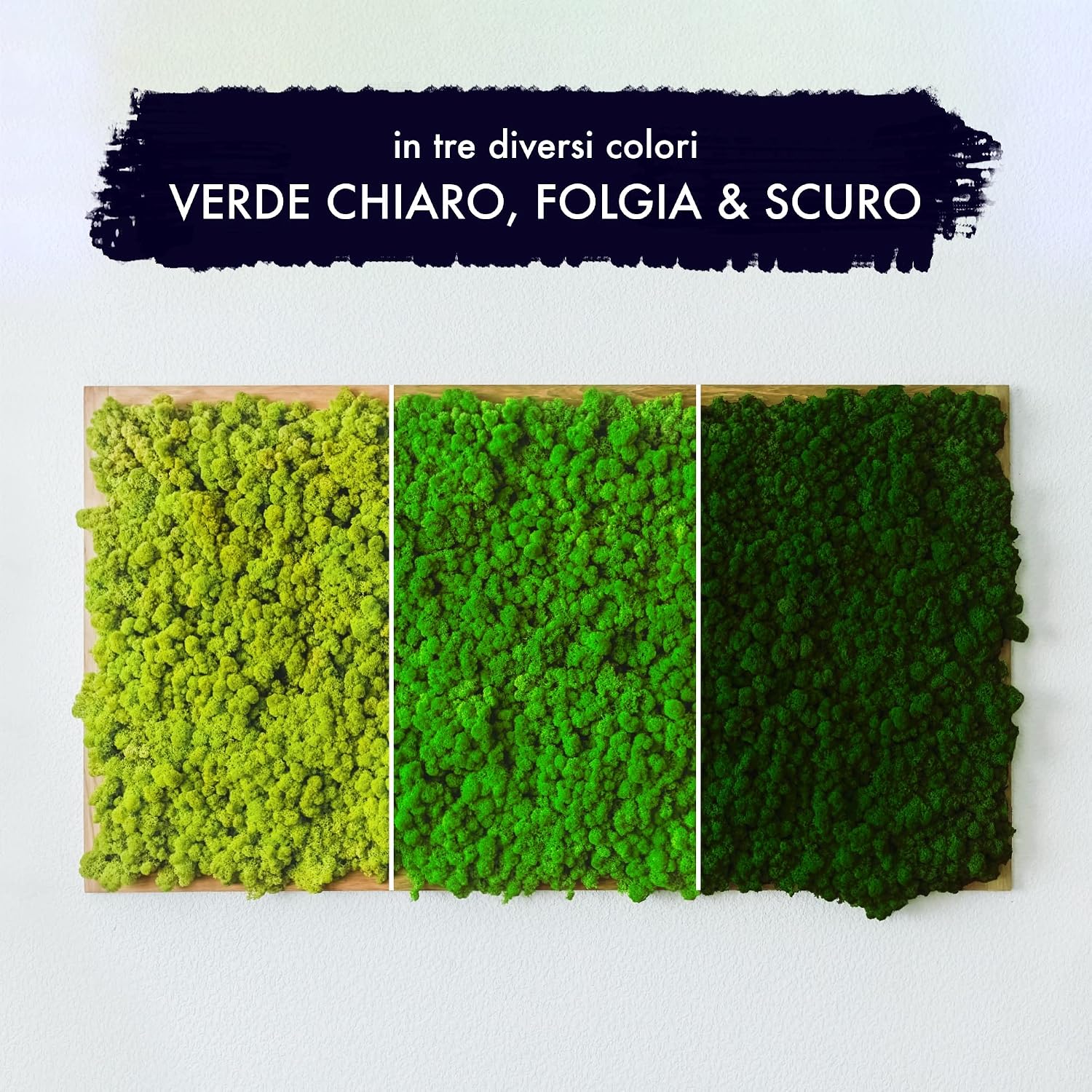 GJS Islandmoos Muschio da 1 kg / 500 g / 200 g, diversi colori, vero ...