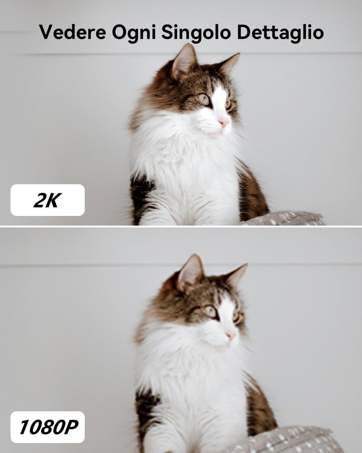 Imou Telecamera Wi-Fi Interno 2K Rex 3D 3MP - immagine 2