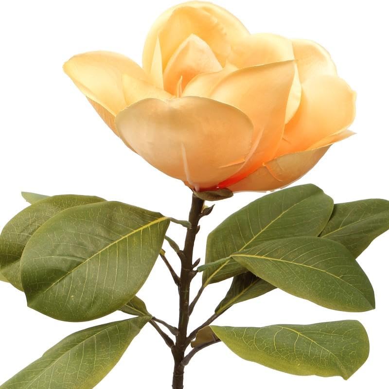 DRW Set 12 fiori artificiali con gambo naturale in PU-Foam giallo 70x20x20 cm