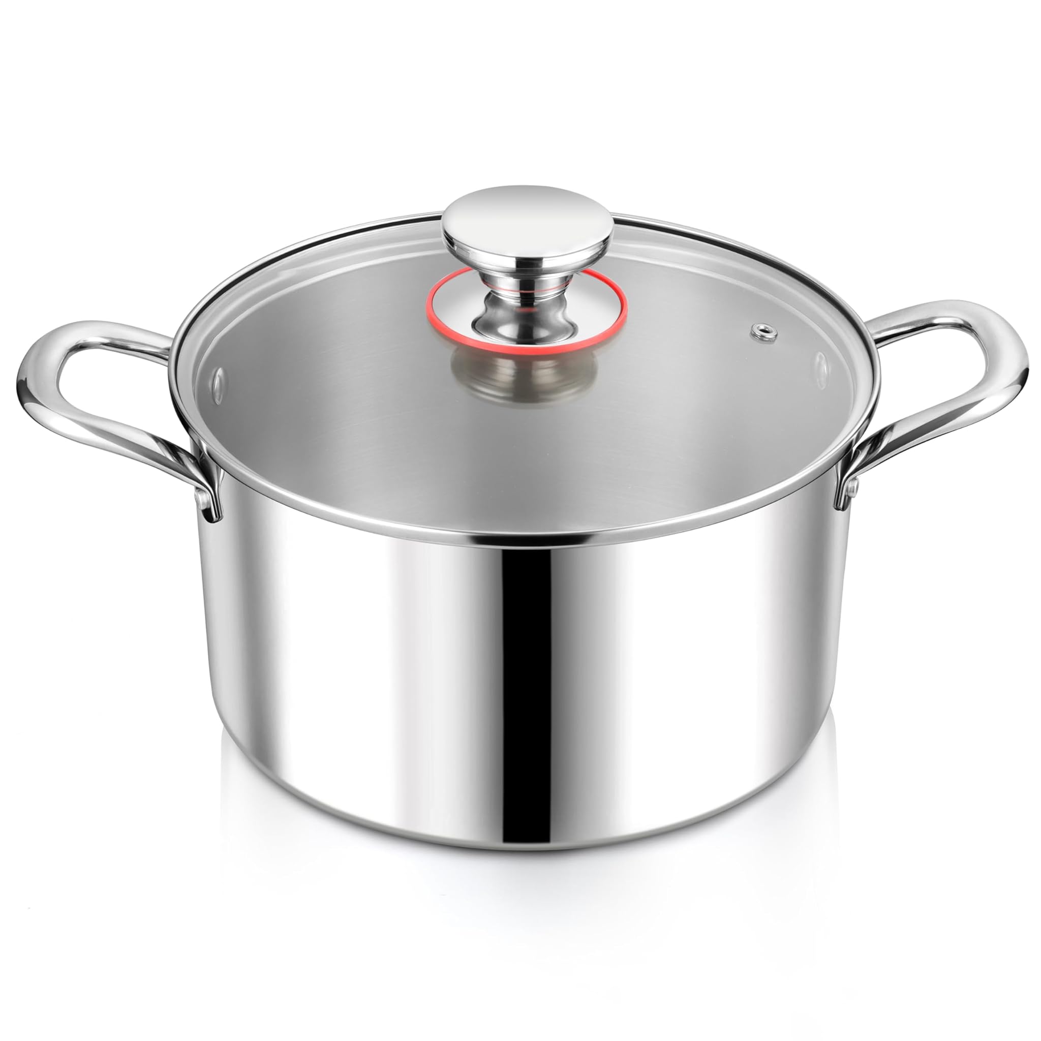 Herogo Pentola Induzione Acciaio Inox Ø 26cm 6,7l con Coperchio