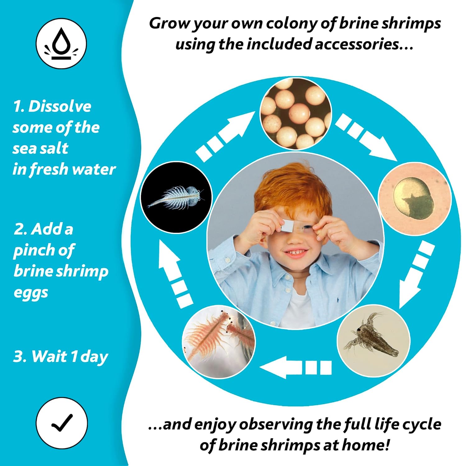 Levenhuk LabZZ M101 Azure STEM Microscopio Bambini 640x - immagine 5