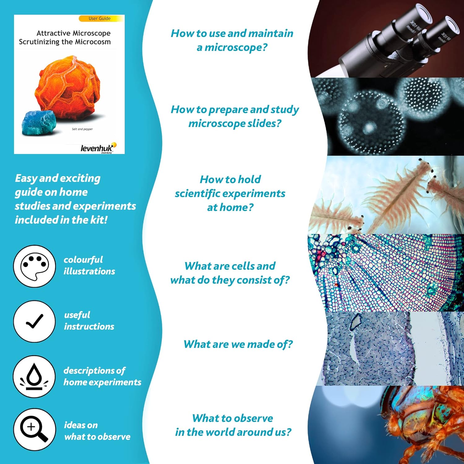 Levenhuk LabZZ M101 Azure STEM Microscopio Bambini 640x - immagine 6