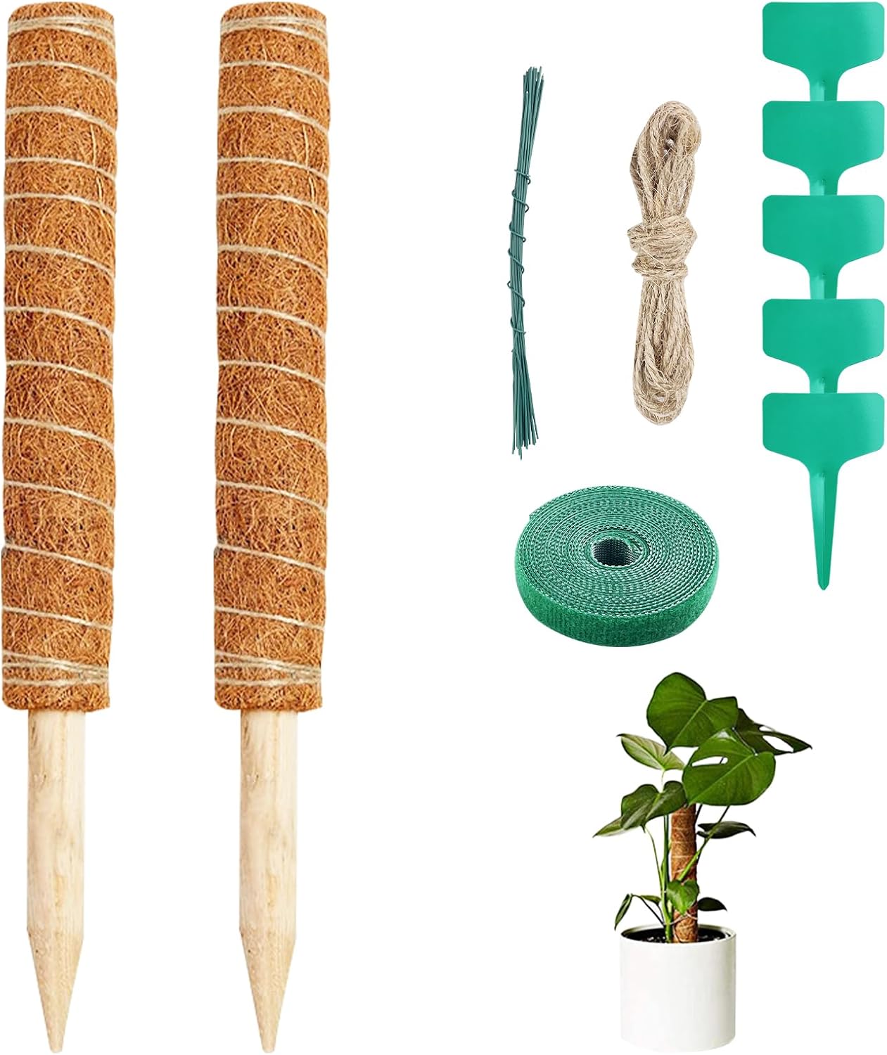 Newpop Palo Totem Fibra di Cocco 40cm (2 Pezzi) - immagine 1