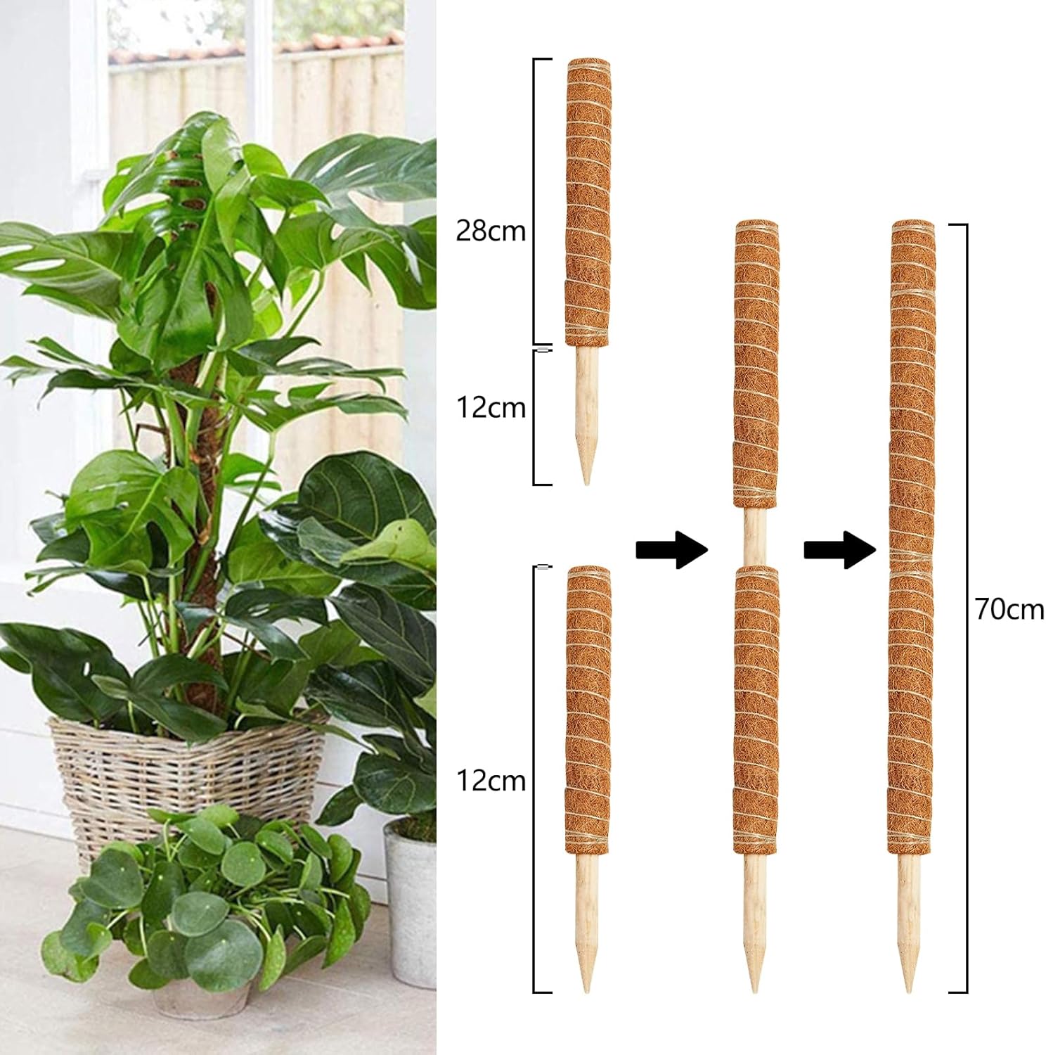 Newpop Palo Totem Fibra di Cocco 40cm (2 Pezzi) - immagine 4