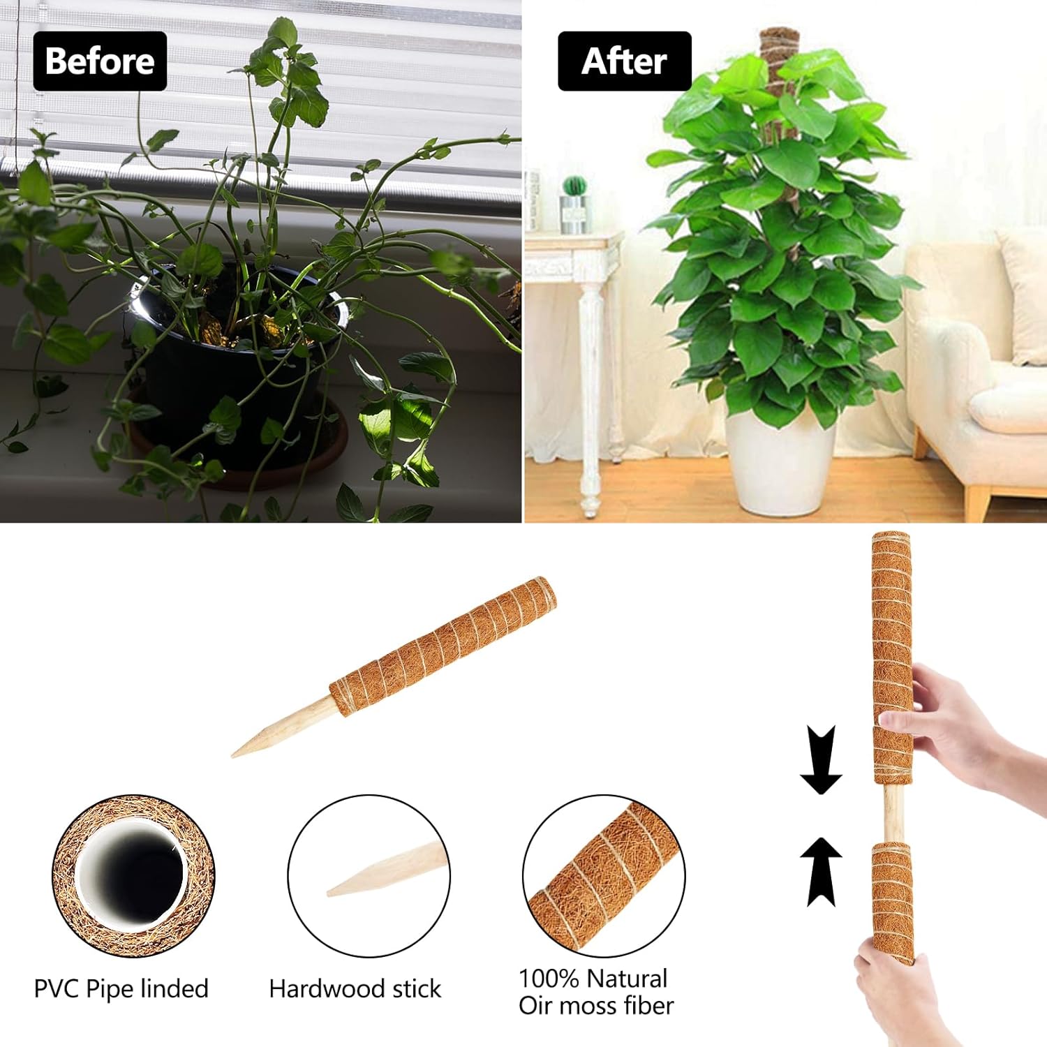 Newpop Palo Totem Fibra di Cocco 40cm (2 Pezzi) - immagine 5