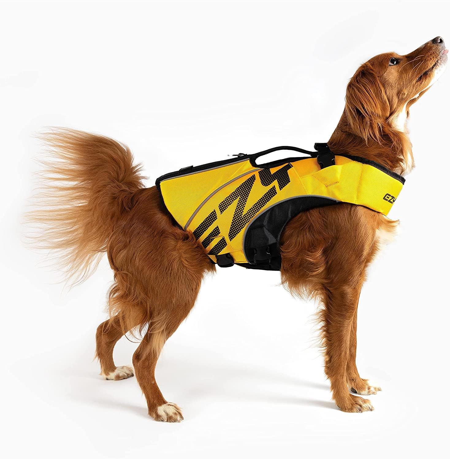 Ezydog - Life Jacket X2 Boost Yellow XL 41 kg kg - immagine 2