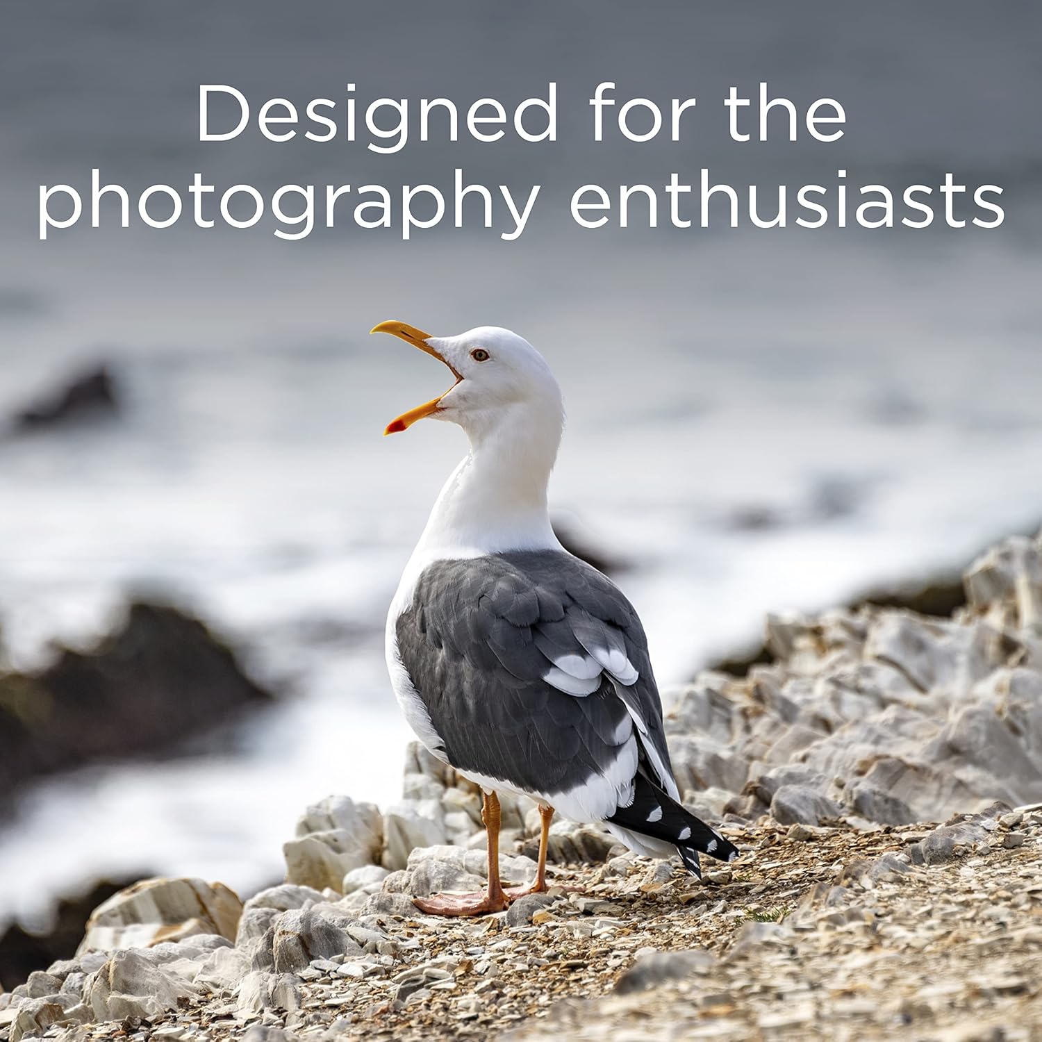 Integral 8GB Compact Flash Card - immagine 3