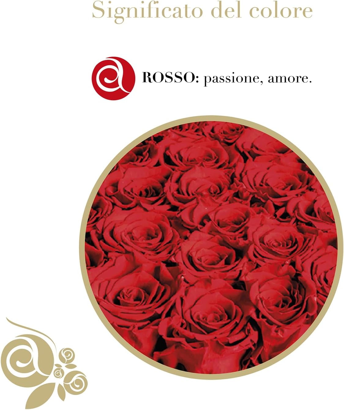 Aluisi Fiori - Box Nera con 7 Rose Rosse Stabilizzate - immagine 5
