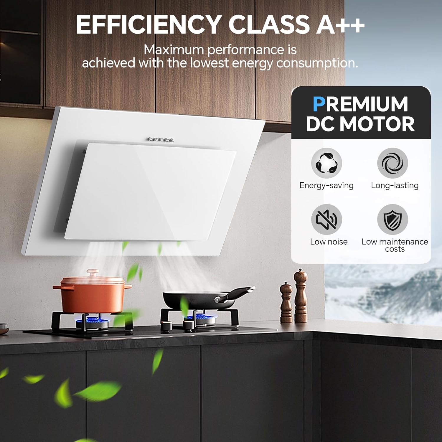 Cappa Aspirante Topstrong Inclinata 60cm Classe A++ - immagine 2