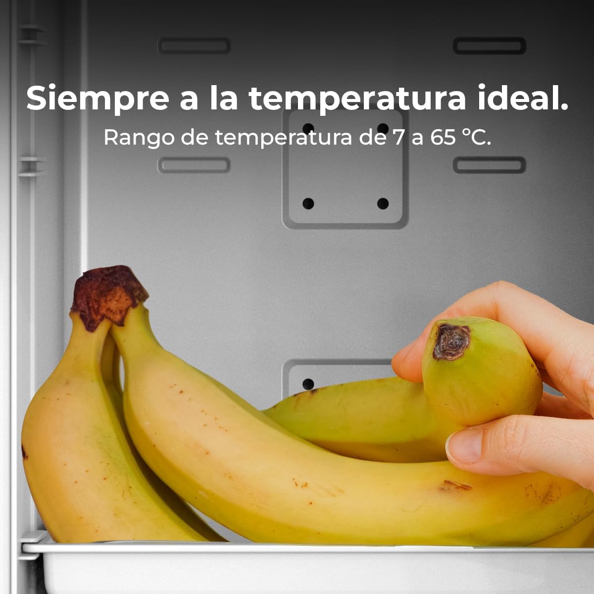 Cecotec Minicooling Bolero 25L Bahamas Mint - immagine 10