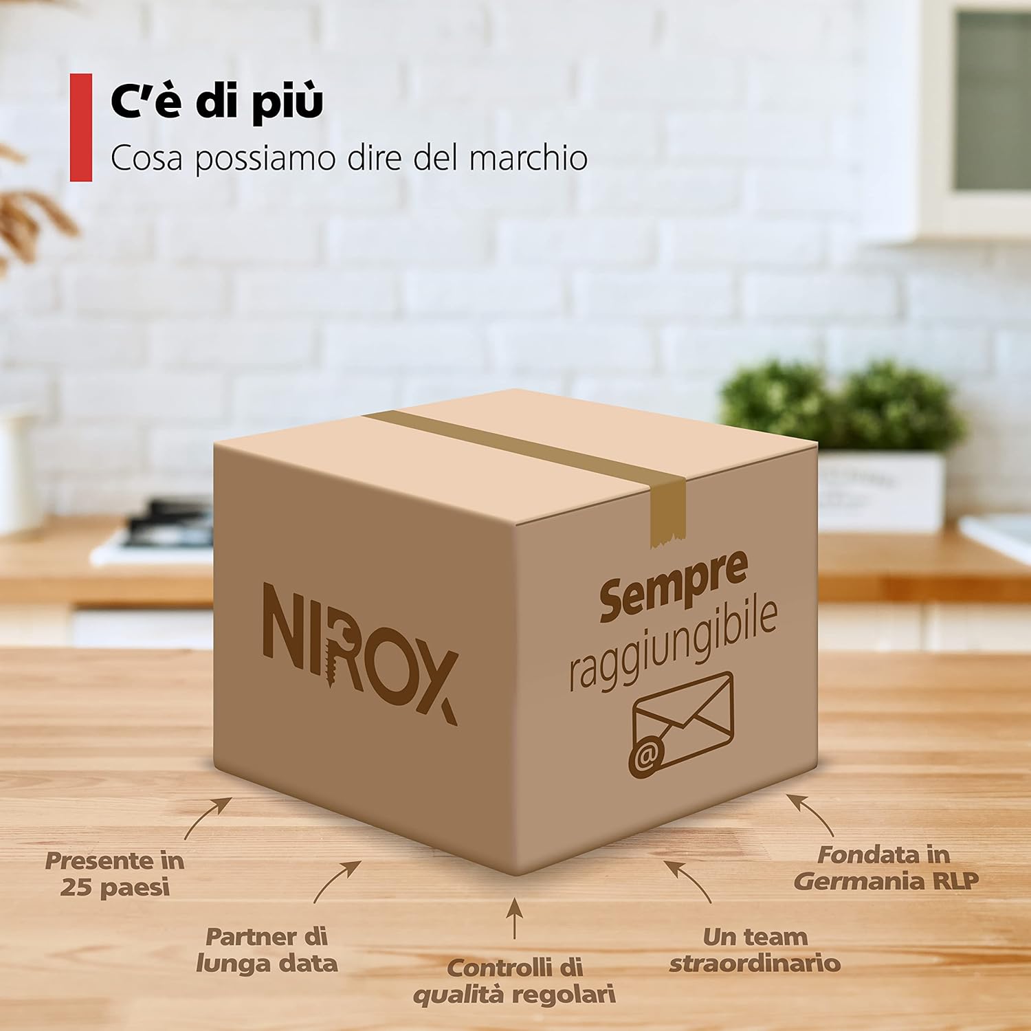 Nirox Sturalavandini a Ventosa per WC e Scarichi - immagine 7