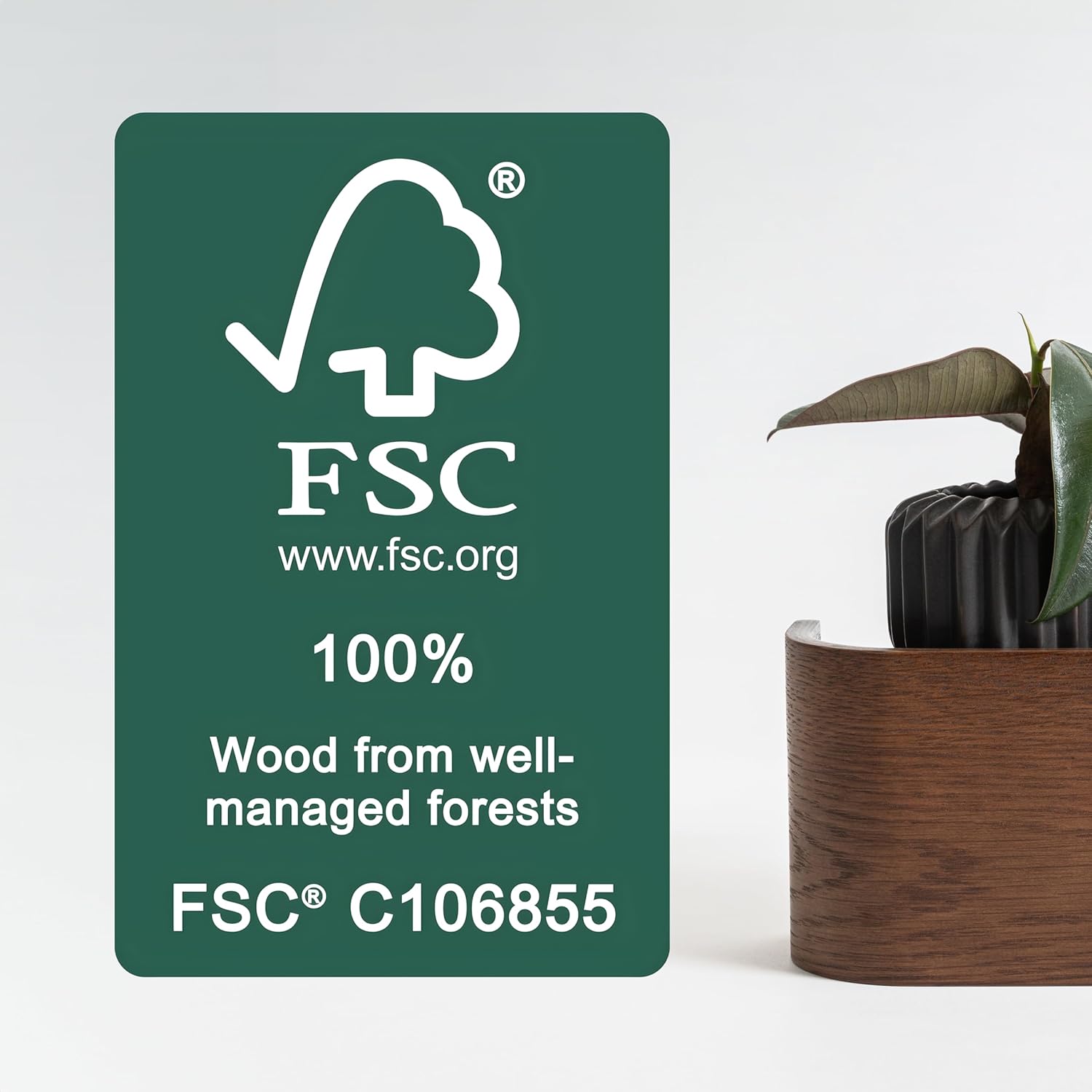 Kazai. Appendiabiti da Parete Legno 'Toke', Rovere Scuro - immagine 2