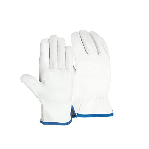 Doja Barcelona Guanti da Lavoro in Pelle Cuoio, 24 Paia