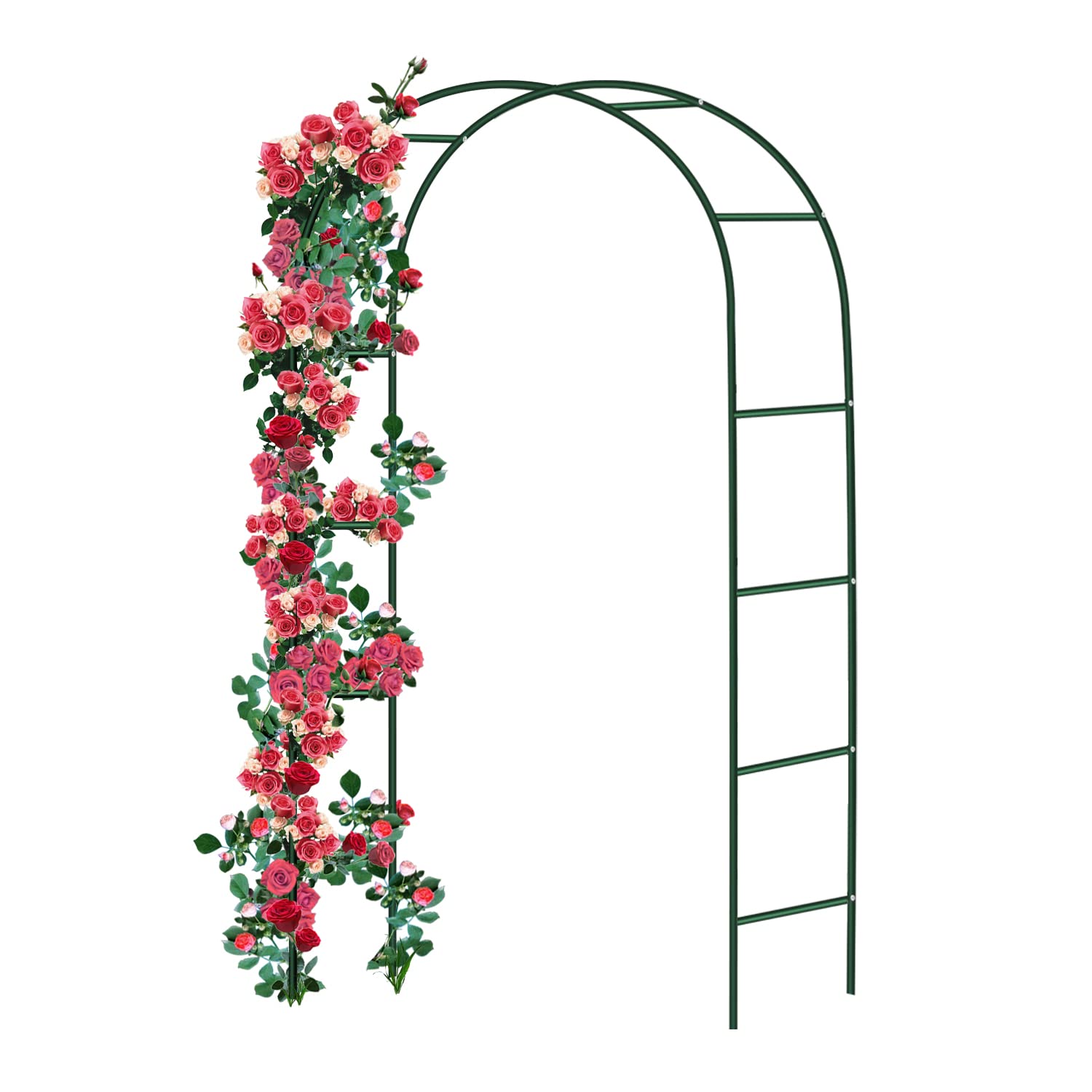 Forever Speed Rose Arch in Metallo Verde 240x140x38 cm