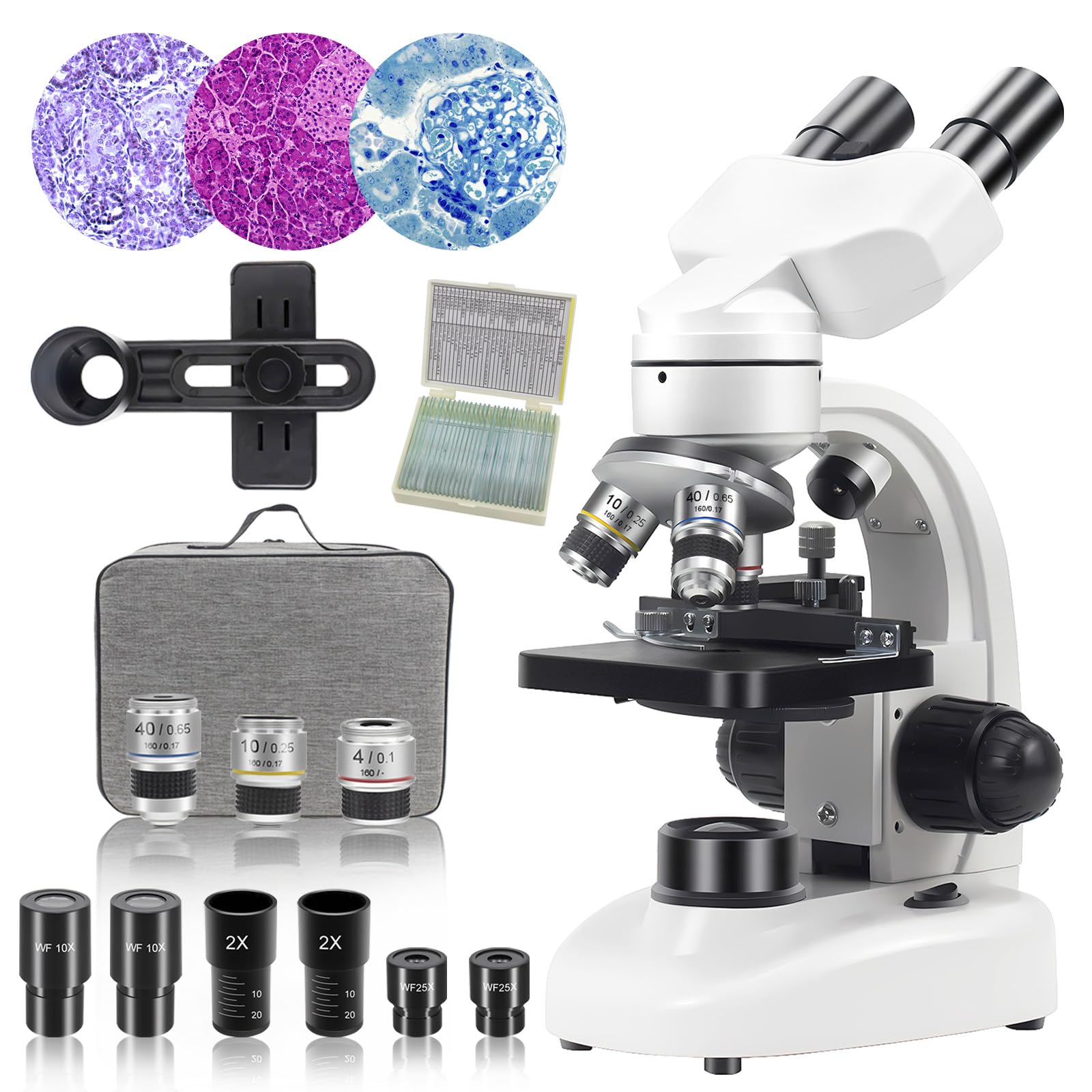 Microscopio Binoculare Composto 40X-2000X