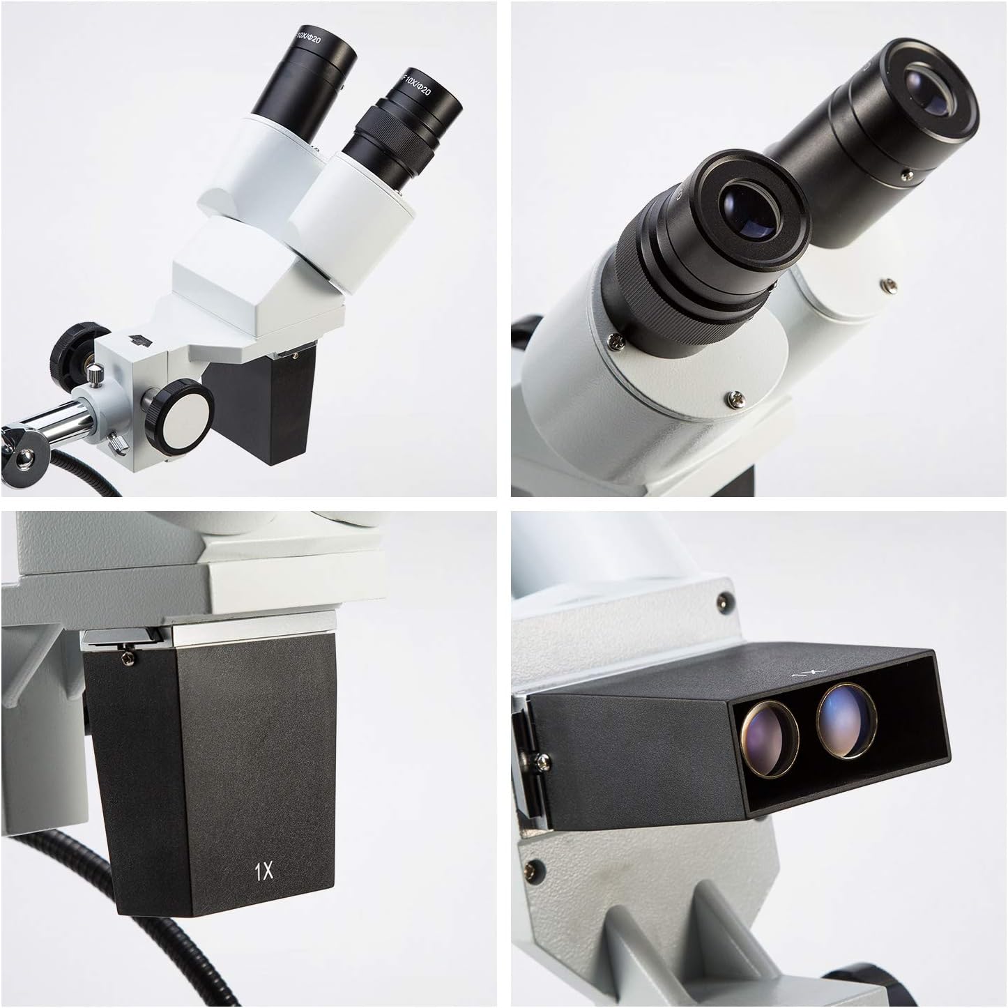 Swift Microscopio Stereo Binoculare S41 Professionale - immagine 4